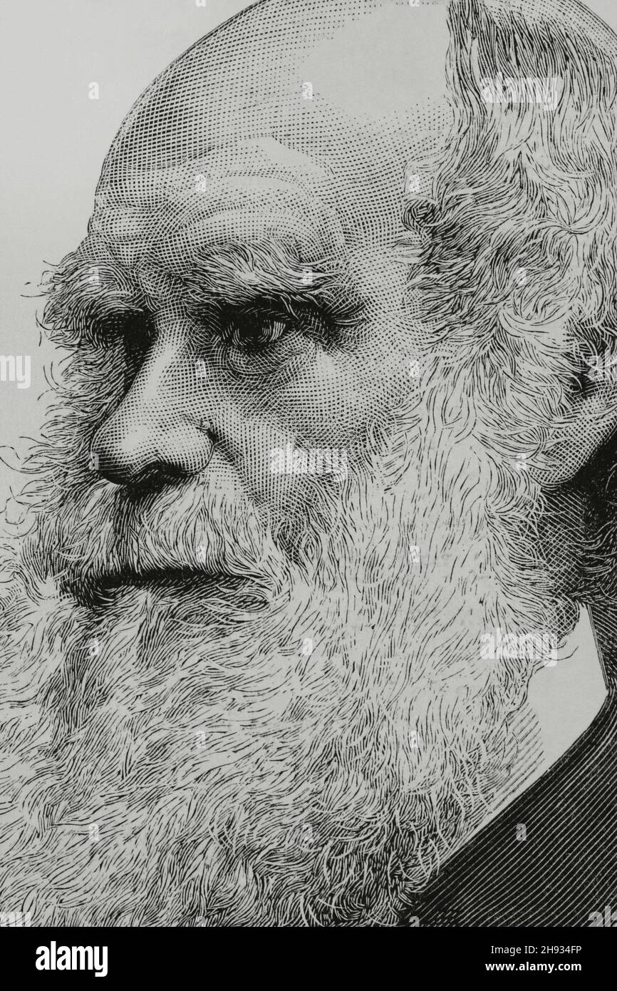 Charles Darwin (1809-1882). British scientist and naturalist. Author of the 'On the Origin of Species', 1859. Portrait. Illustration by Badillo. Engraving by Arturo Carretero. La Ilustración Española y Americana, 1882. Stock Photo