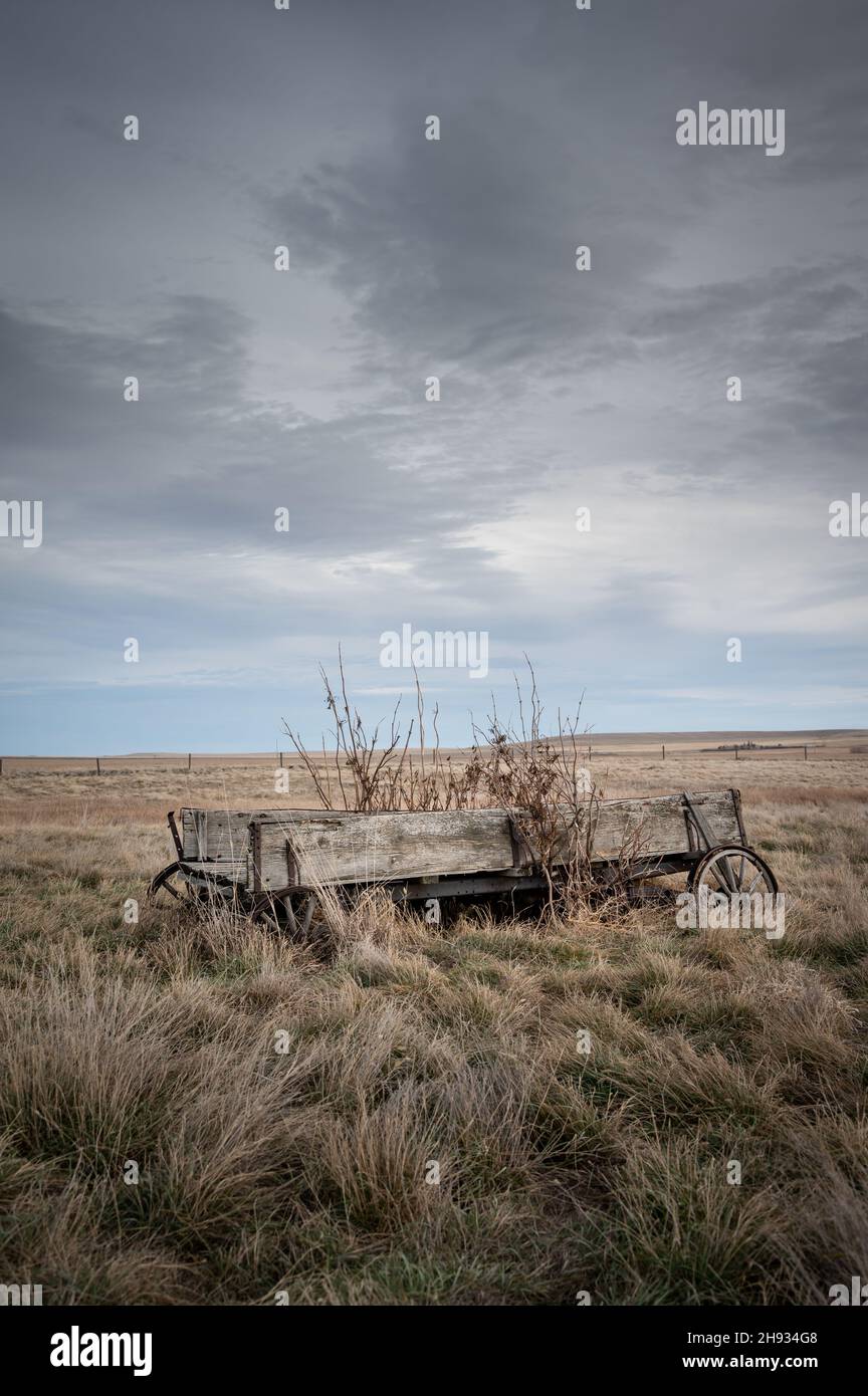 Abandoned woorden wagon in rural alberta Canada with cloudy skies Stock Photo