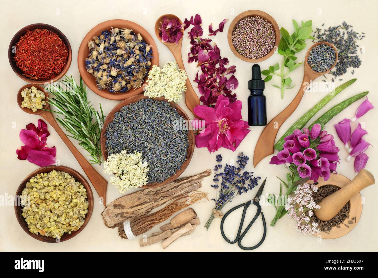 Natural herbal plant medicine preparation with dried and fresh herbs flowers in a mortar, bowls and loose. Alternative health care concept. Stock Photo