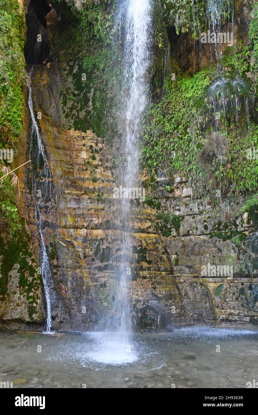 Ein Gedi National Park waterfalls - Nature reserve, Israel Stock Photo