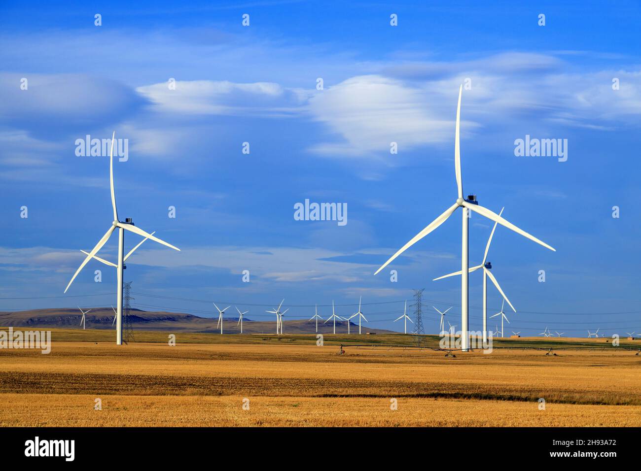 Generating Electricity: Wind Power