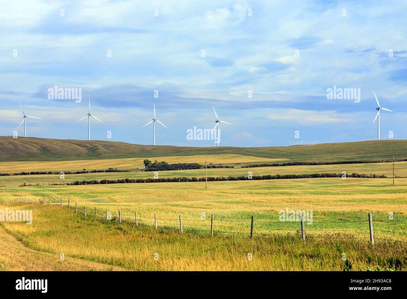 Wind power or wind energy is the use of wind turbines to generate electricity. Wind power is a popular, sustainable, renewable energy source. Stock Photo