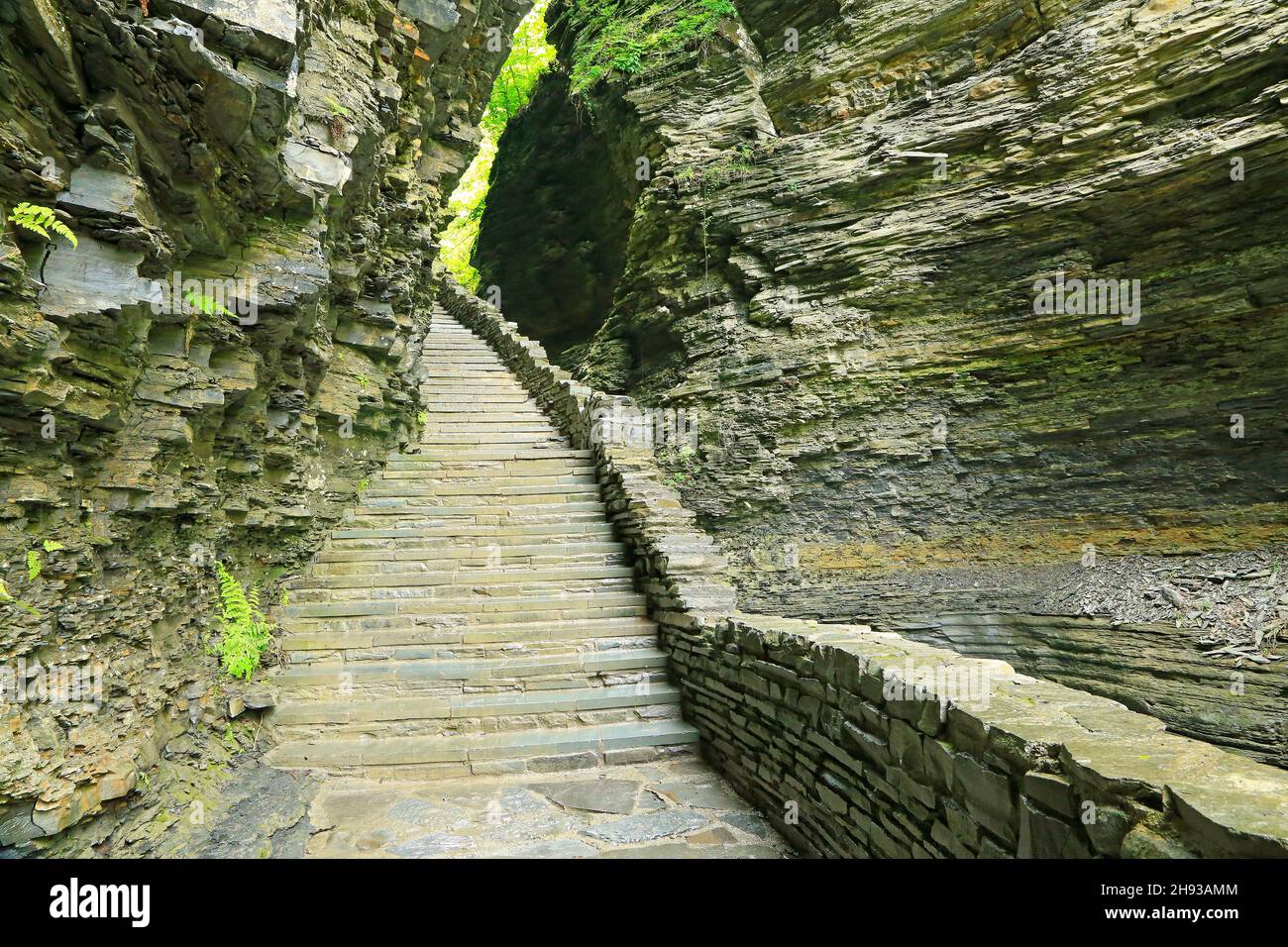 Trail in watkins glen new york stock photo alamy
