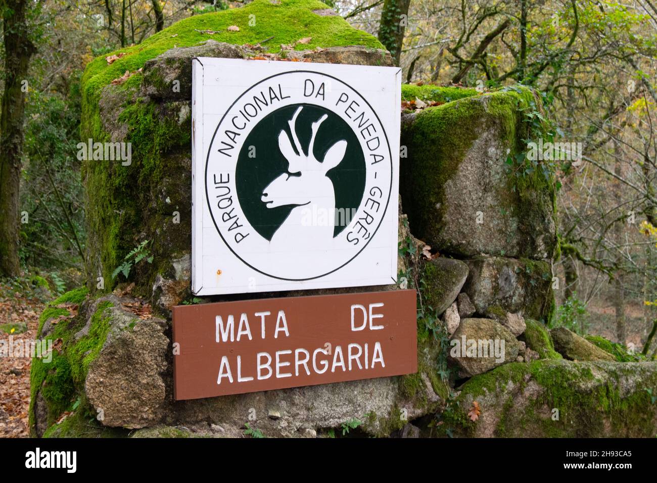 Mata de Albergaria sign and logo. National park Peneda Gerês. Stock Photo
