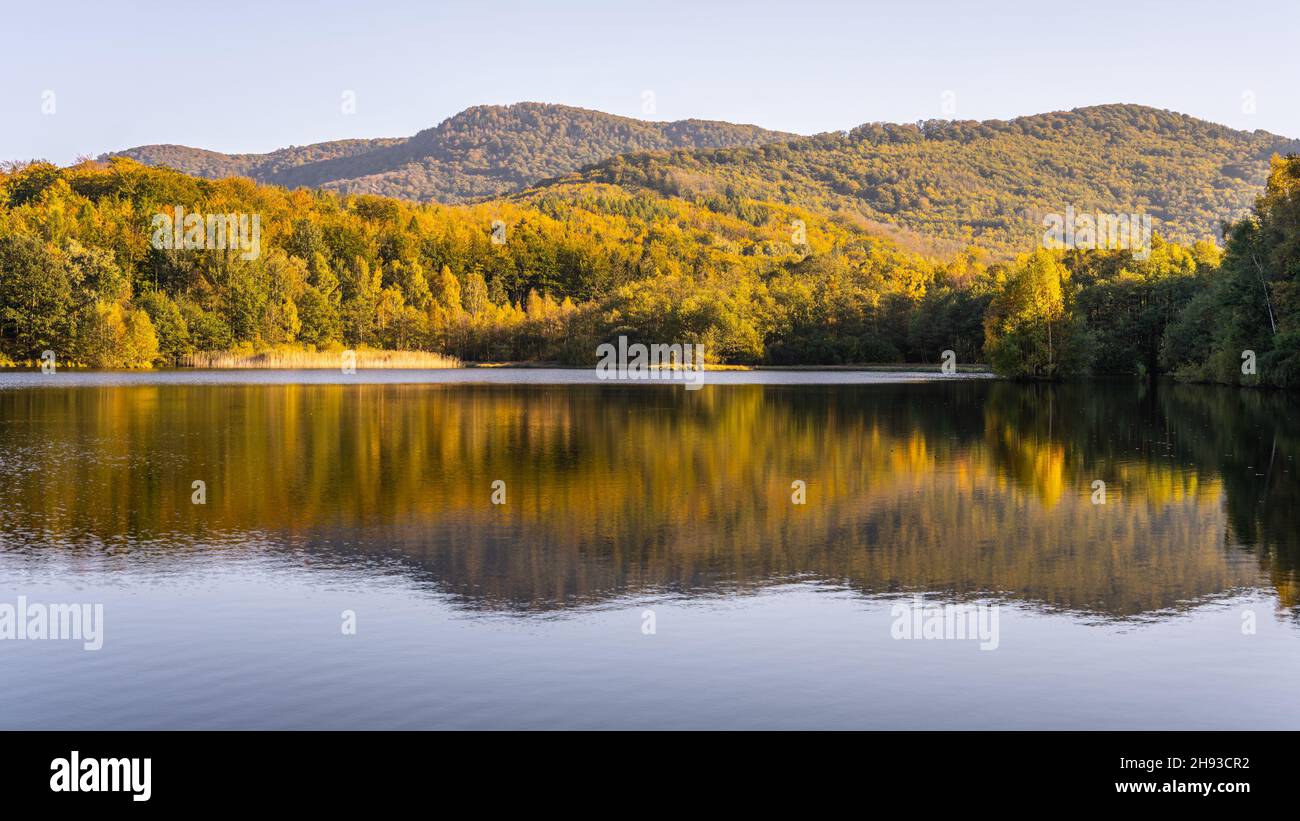 Autumn beech forest reflecter in the water Stock Photo