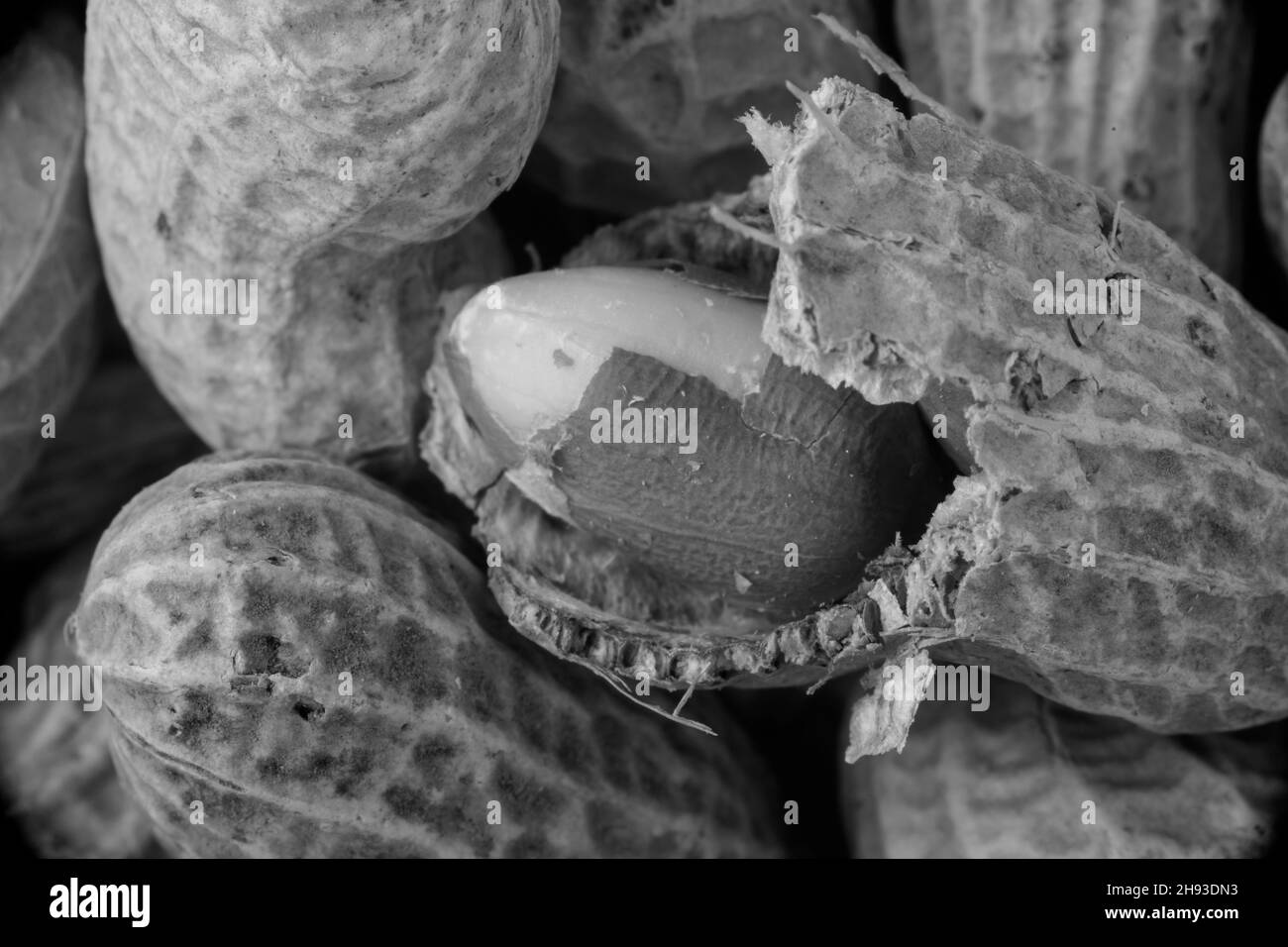 Peanut, groundnut, goober, monkey nut, very close up food still life