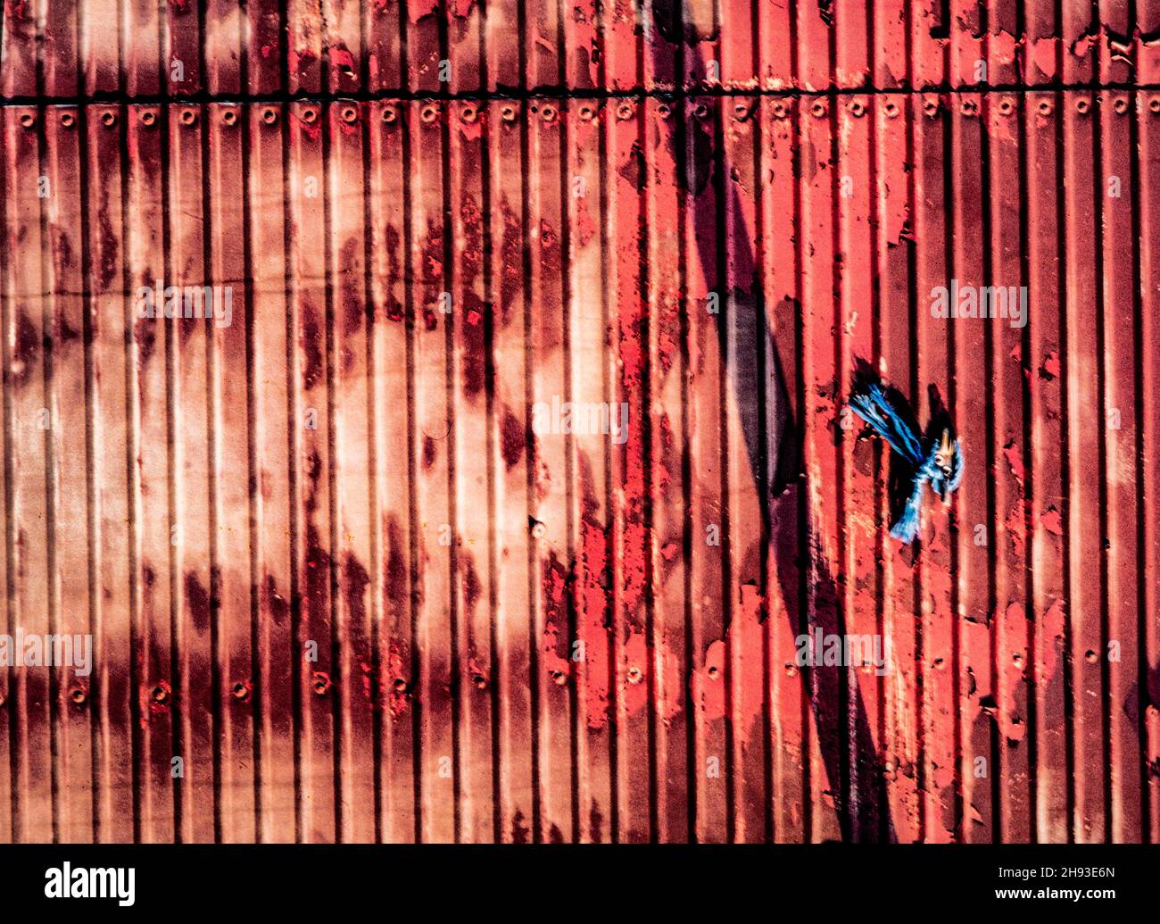 Natural close up abstract still life of rusted metal and blue string ...