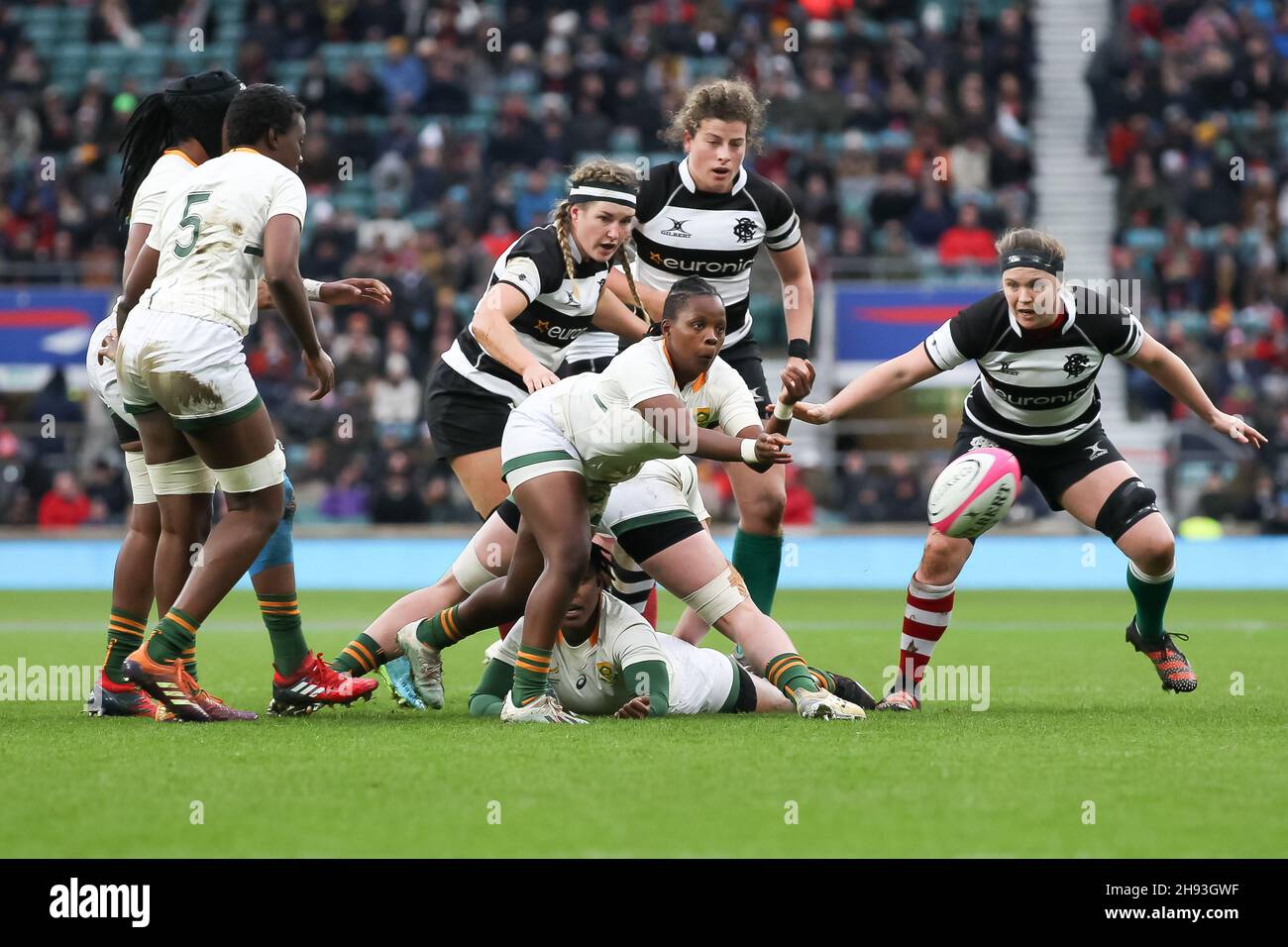 Ken Andrew Springboks Springboks rugby 2021 hi-res stock photography and images - Alamy