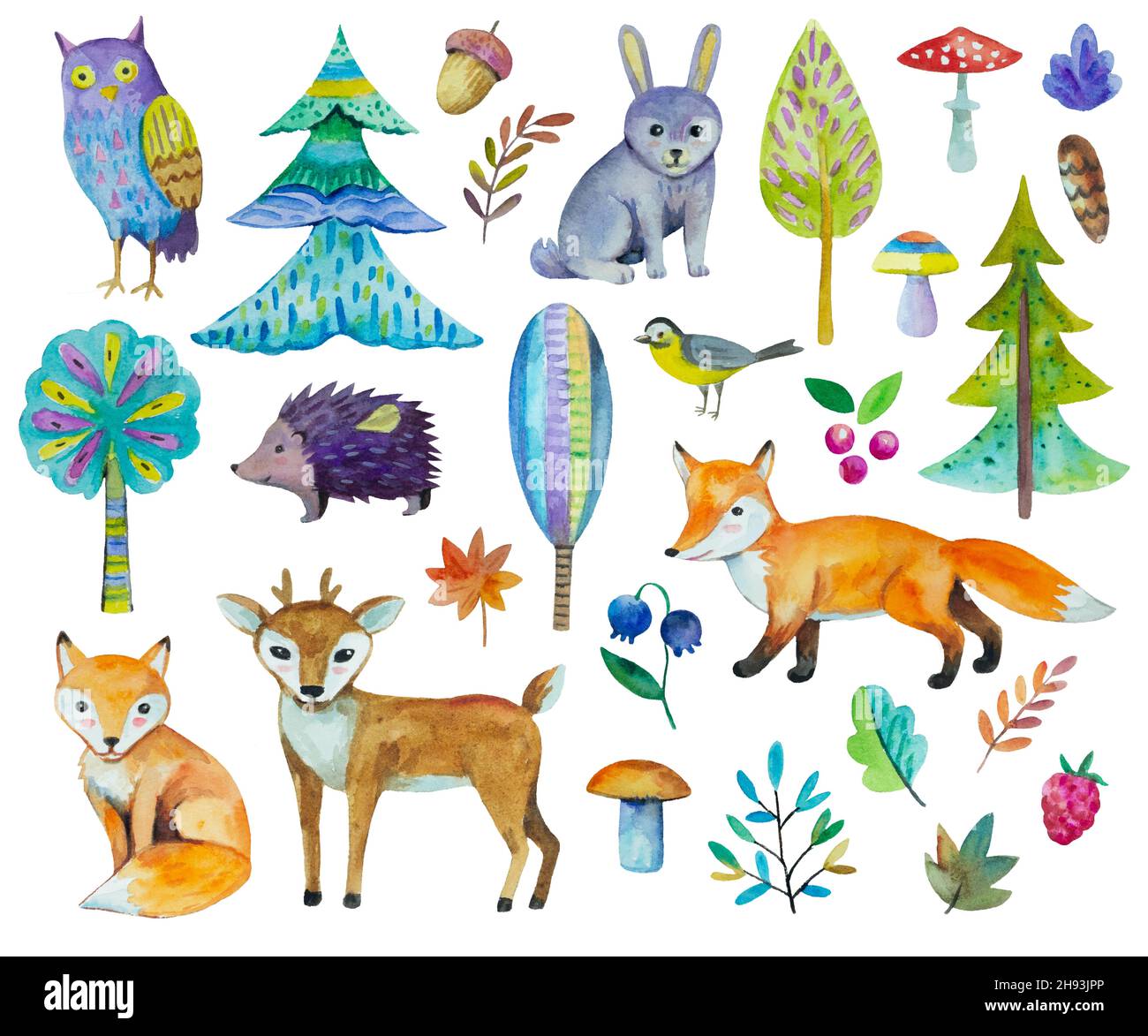 Big set of cute forest animals, trees, birds and plants. Watercolor ...