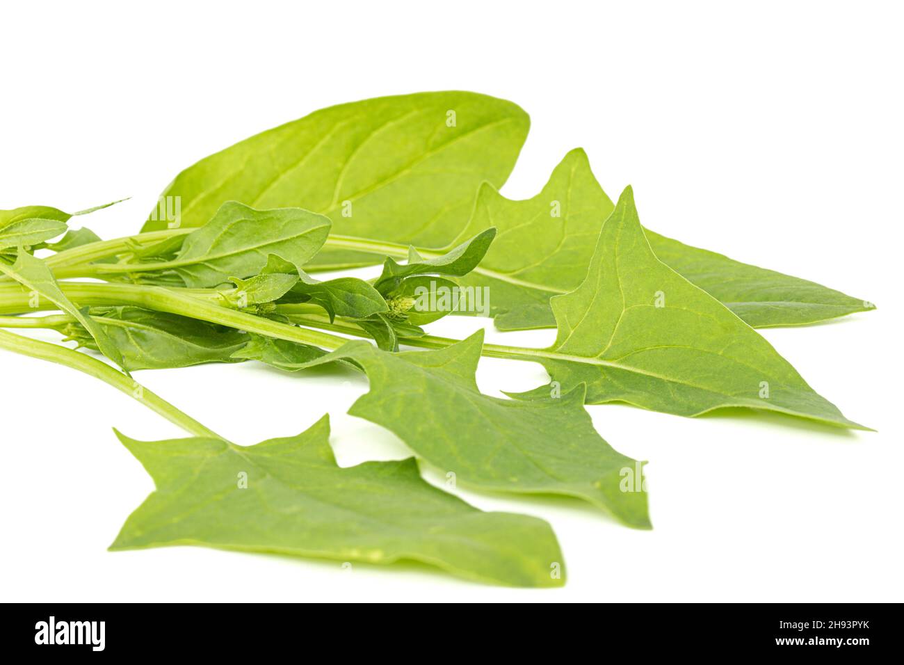Spinach leaves isolated on white background Stock Photo - Alamy
