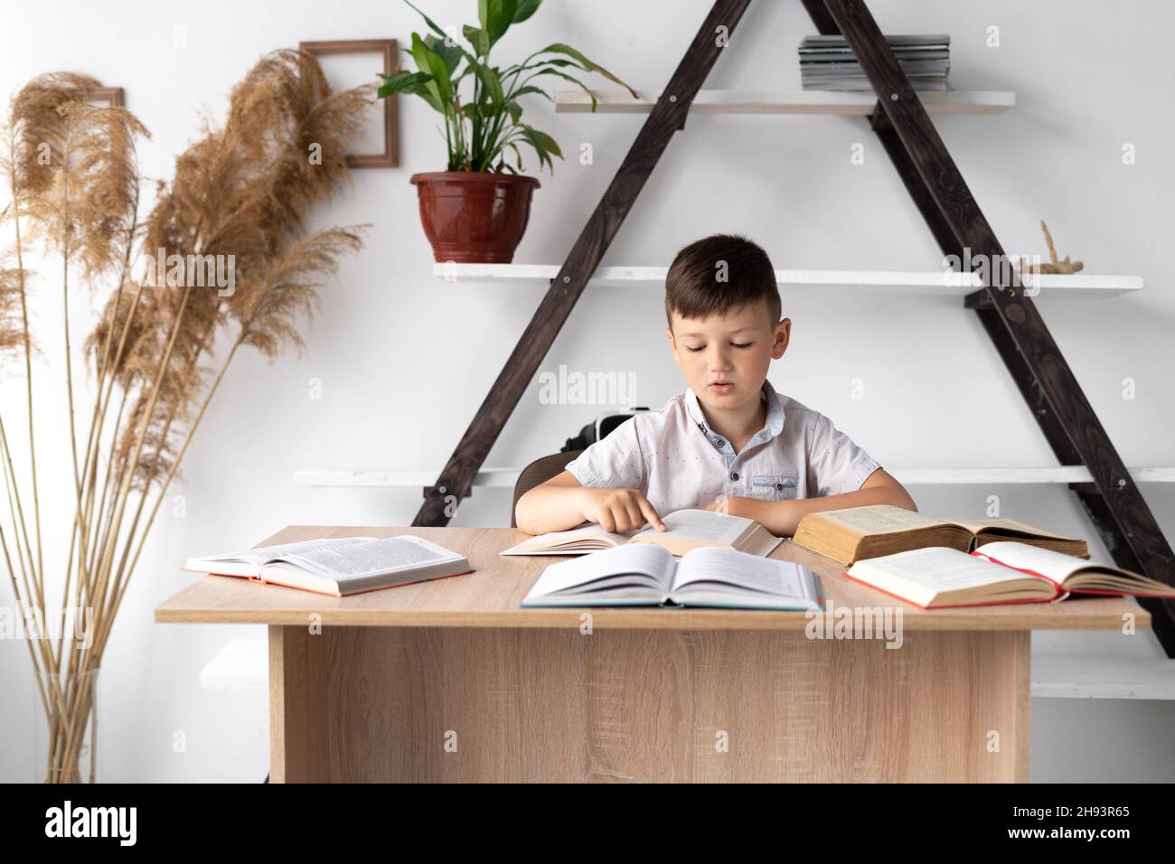 Back to school. Schoolboy boy reading books at the table in the library or home school. Pupil in class at a table with textbooks. Child student doing Stock Photo