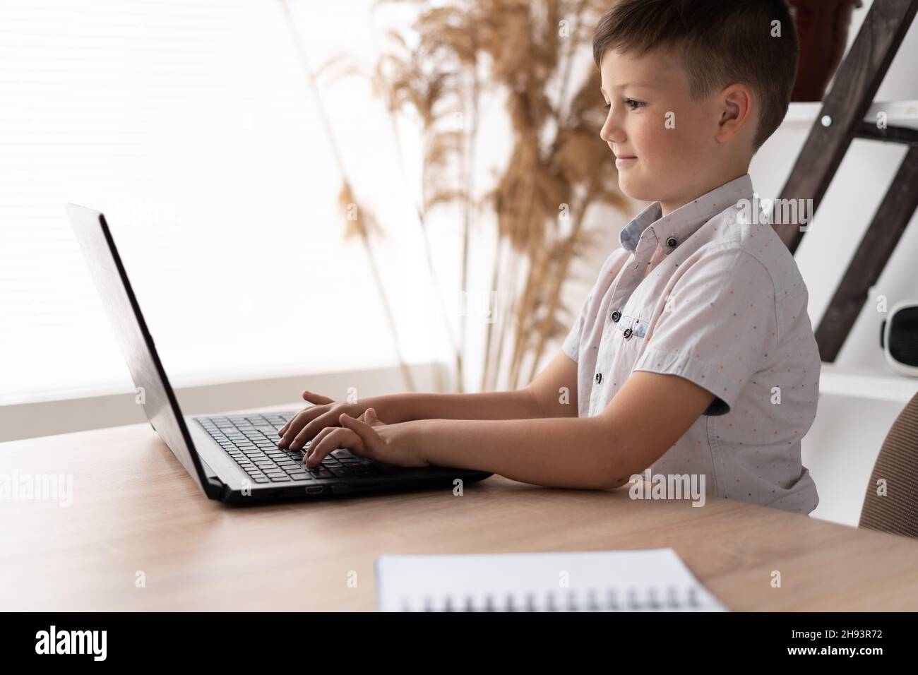 Side view of a schoolboy at home schooled working on a laptop typing text on the keyboard while communicating with a remote teacher. The child is Stock Photo
