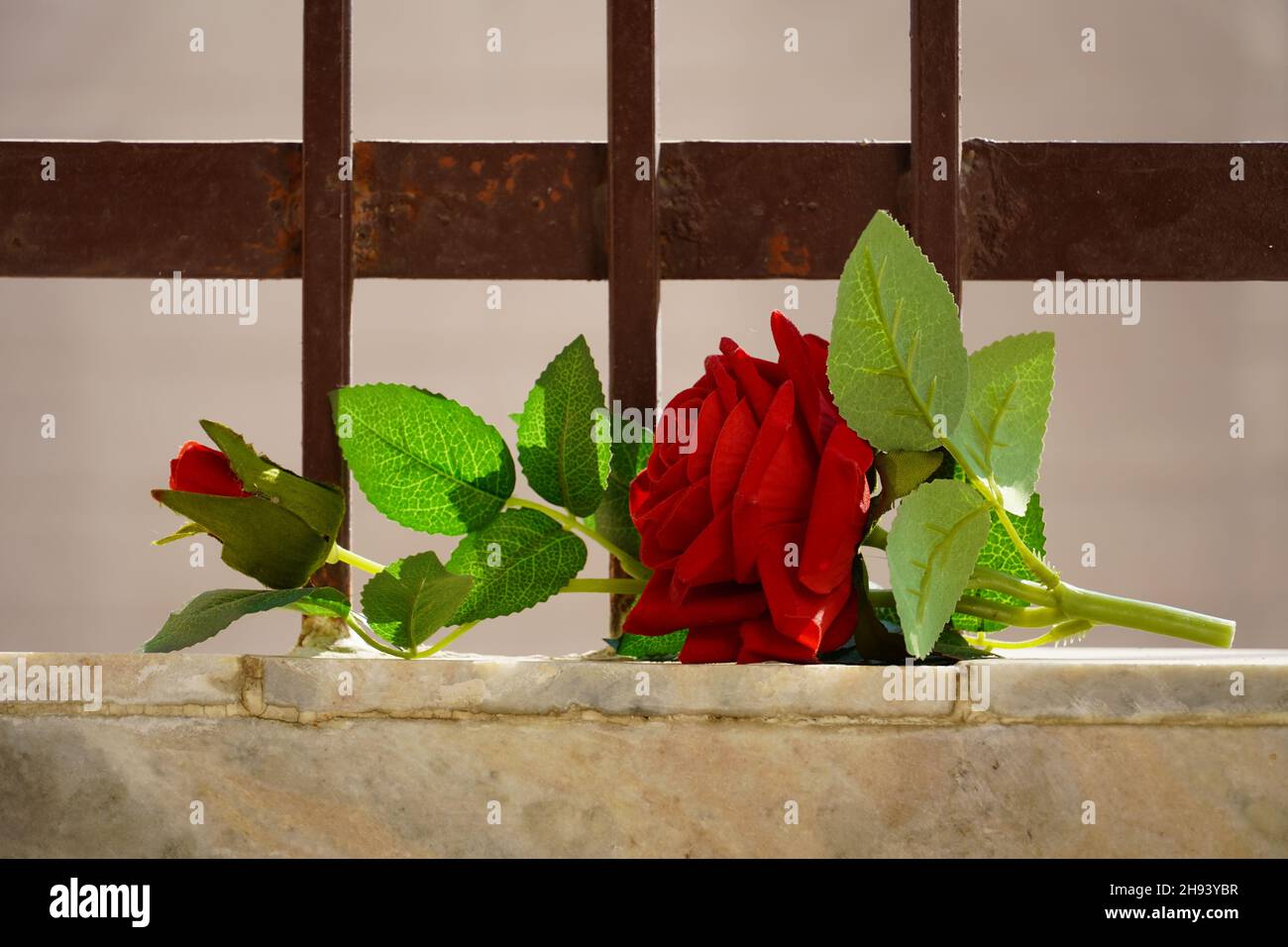 Beautiful rose image in window Stock Photo - Alamy