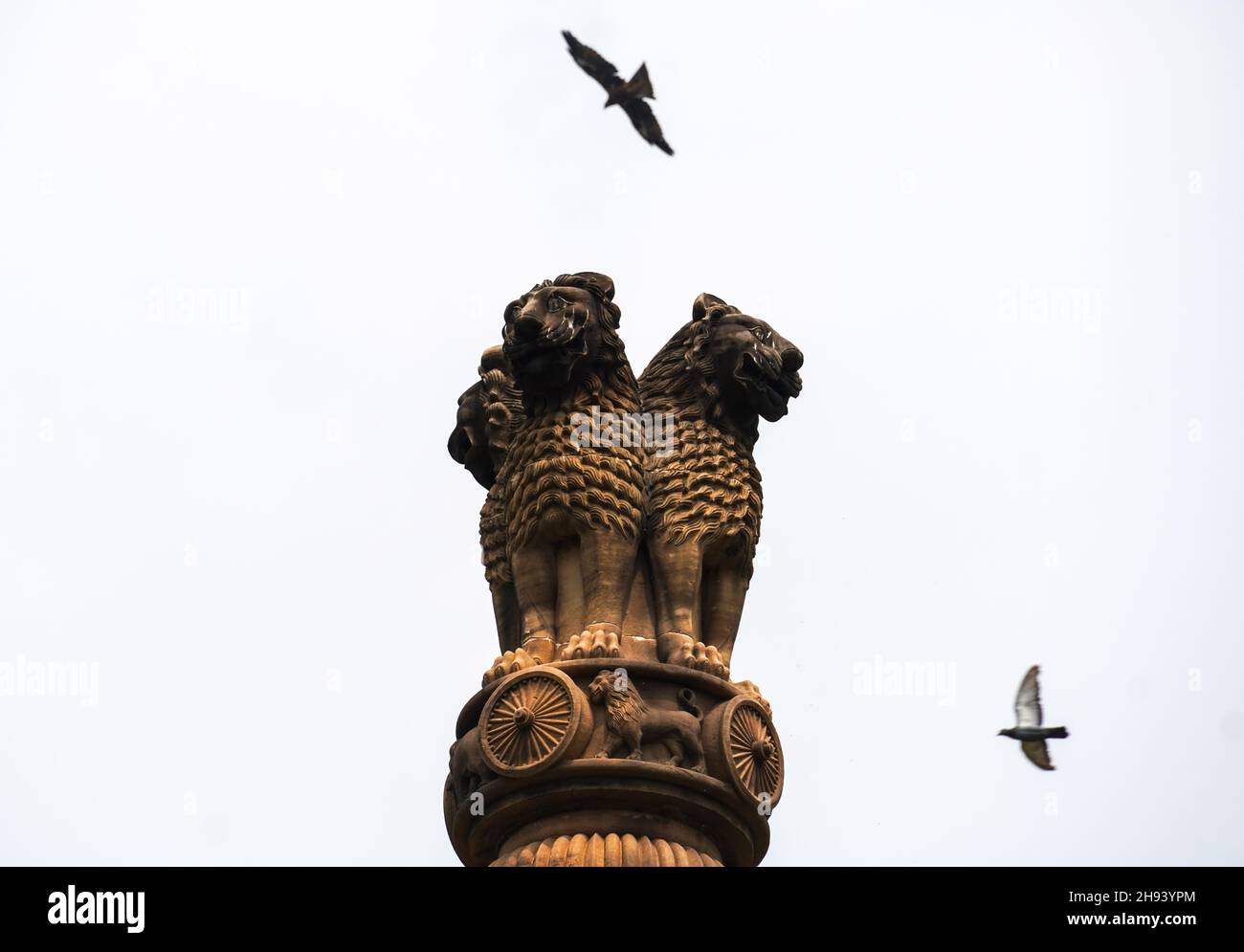 Ashoka Pillar image in sky with birds are flying Stock Photo