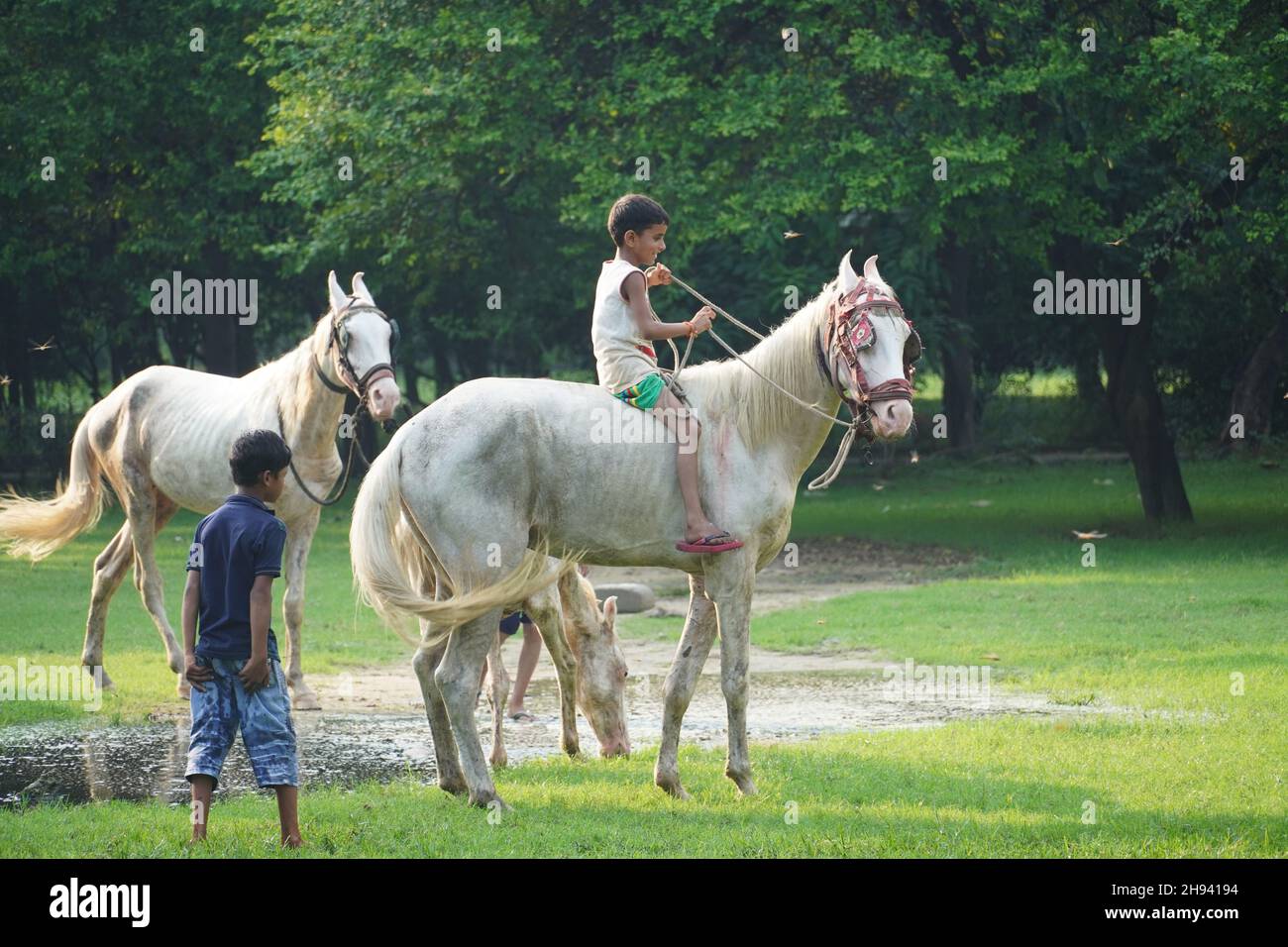 Children Wild Ricing Riding kids hi-res stock photography and images - Alamy