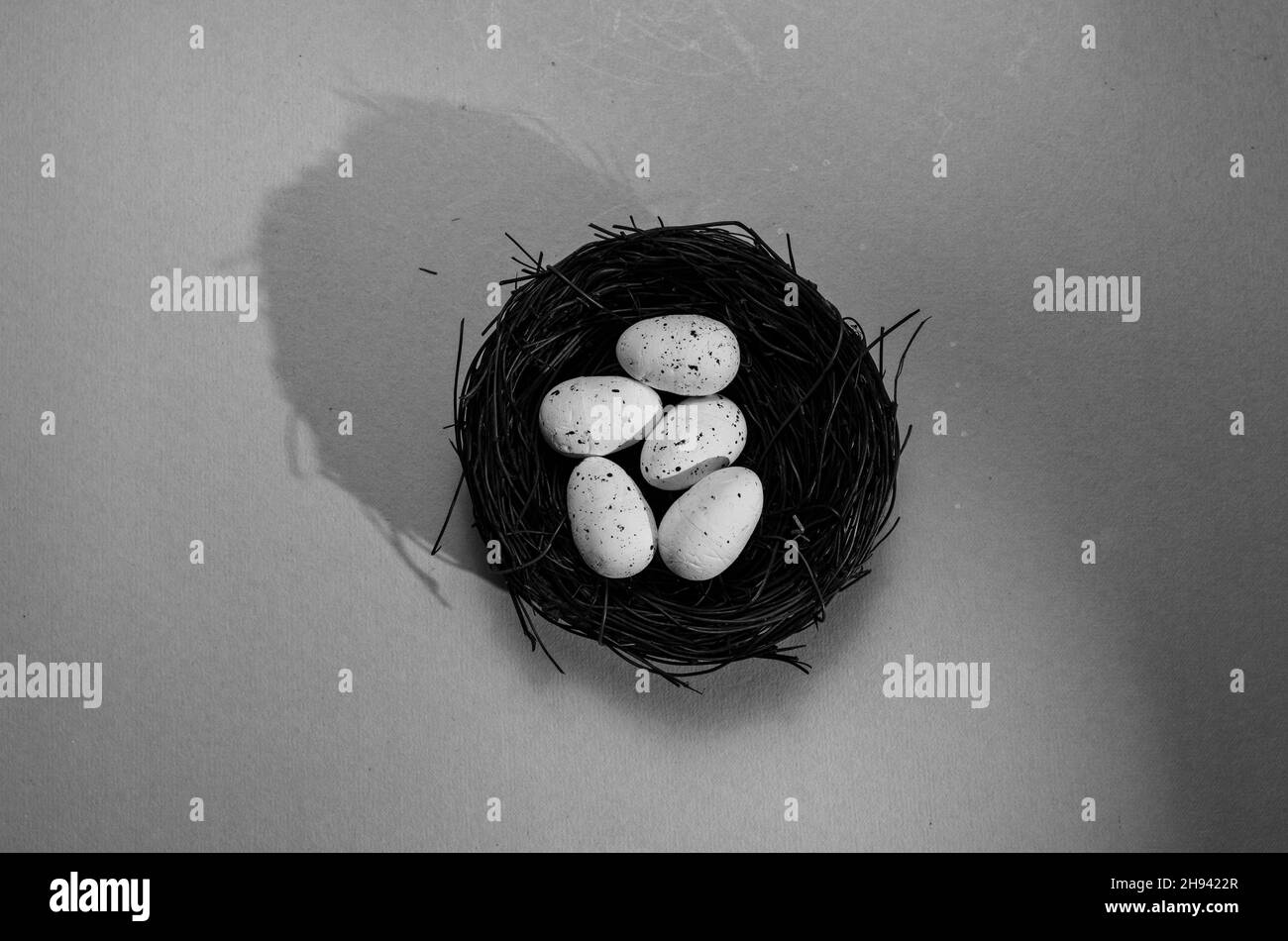 Bird nest young birds Black and White Stock Photos & Images - Alamy