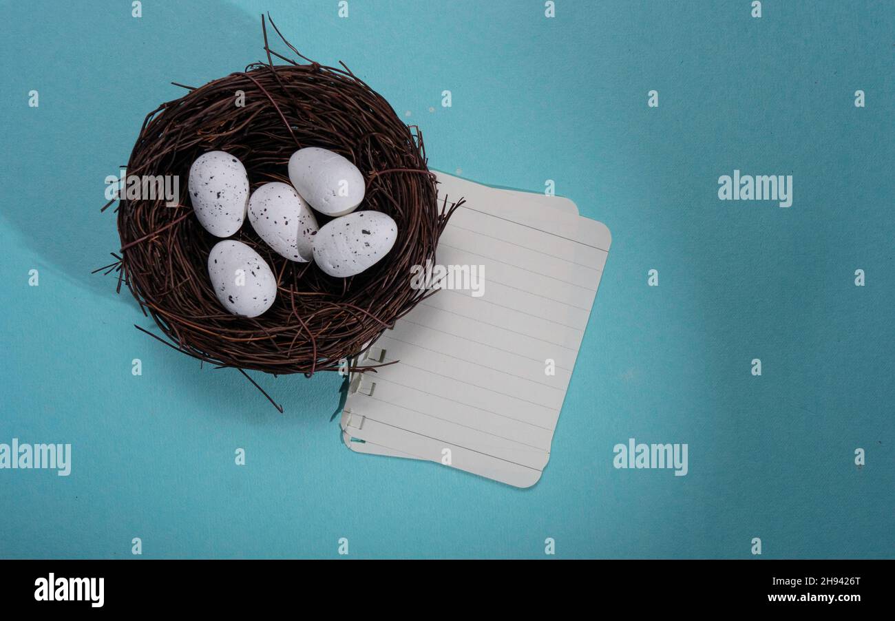 Close up of bird nest with two eggs Stock Photo - Alamy