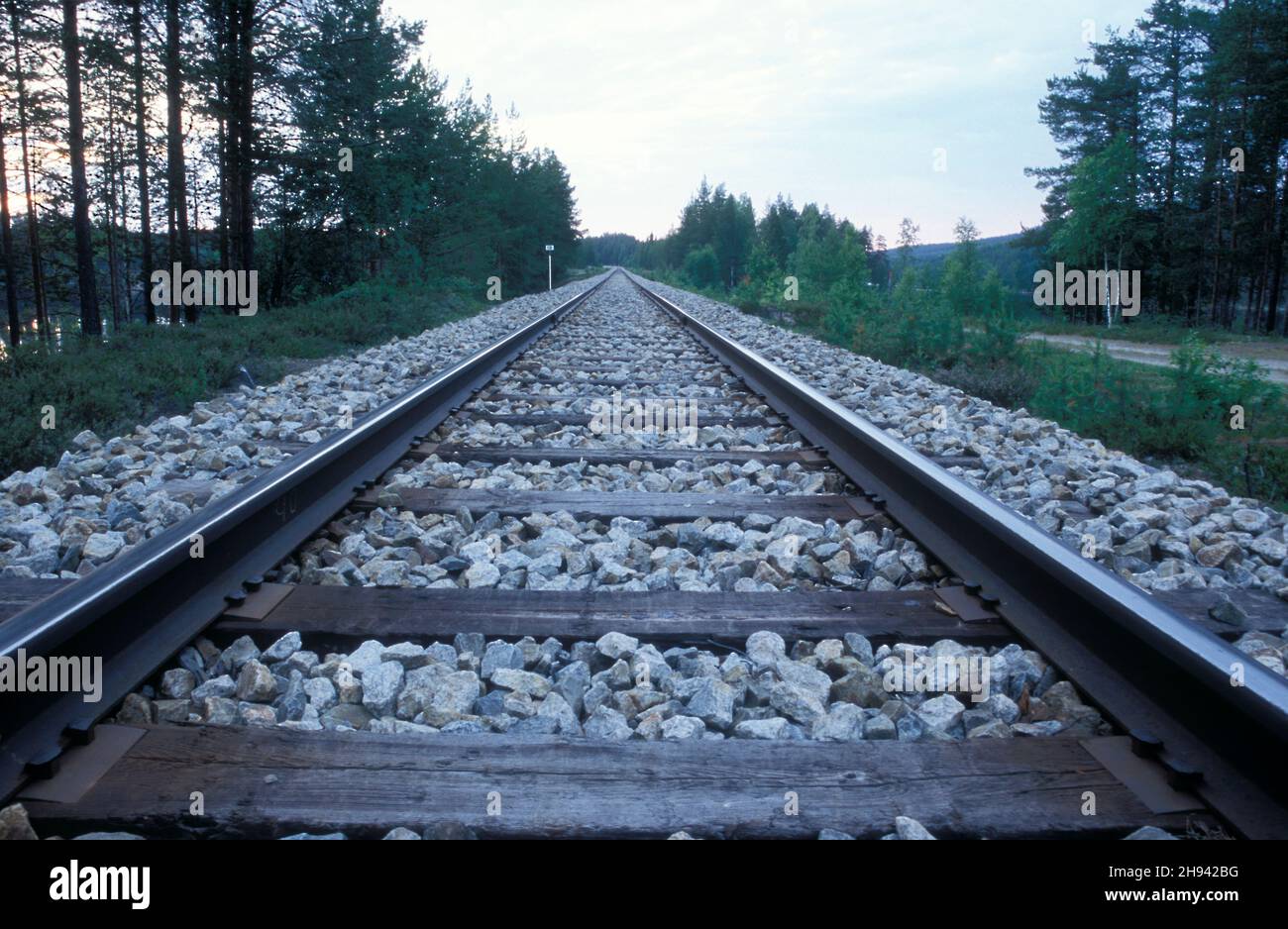 Railway, rails in rural area surrounded by trees and bushes. Gravel road and lake beside. Stock Photo