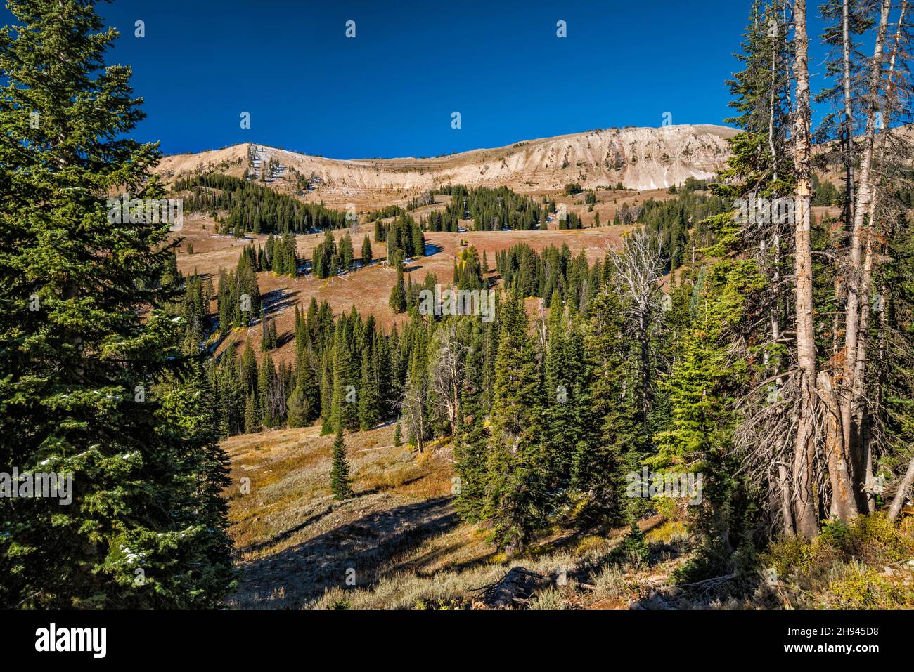 Unnamed peaks at Salt River Range, view from Commissary Ridge, FR 10072 aka Smiths Fork Road, Bridger Teton National Forest, Wyoming, USA Stock Photo