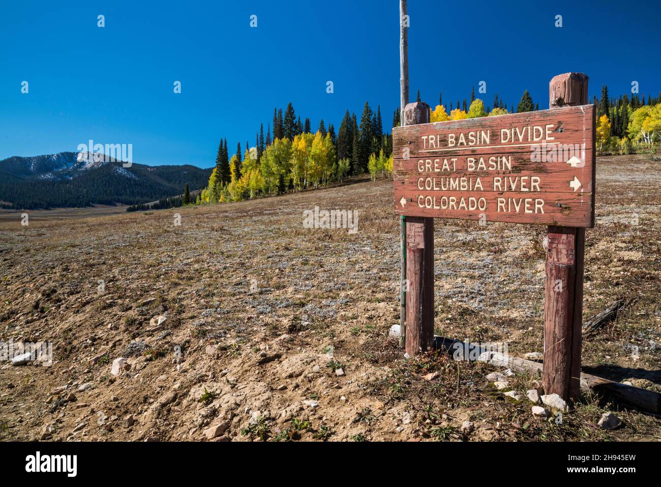 Sign at Tri Basin Divide, separating Great Basin, Columbia River and Colorado River watersheds, Greys River Rd, Bridger Teton National Forest, Wyoming Stock Photo