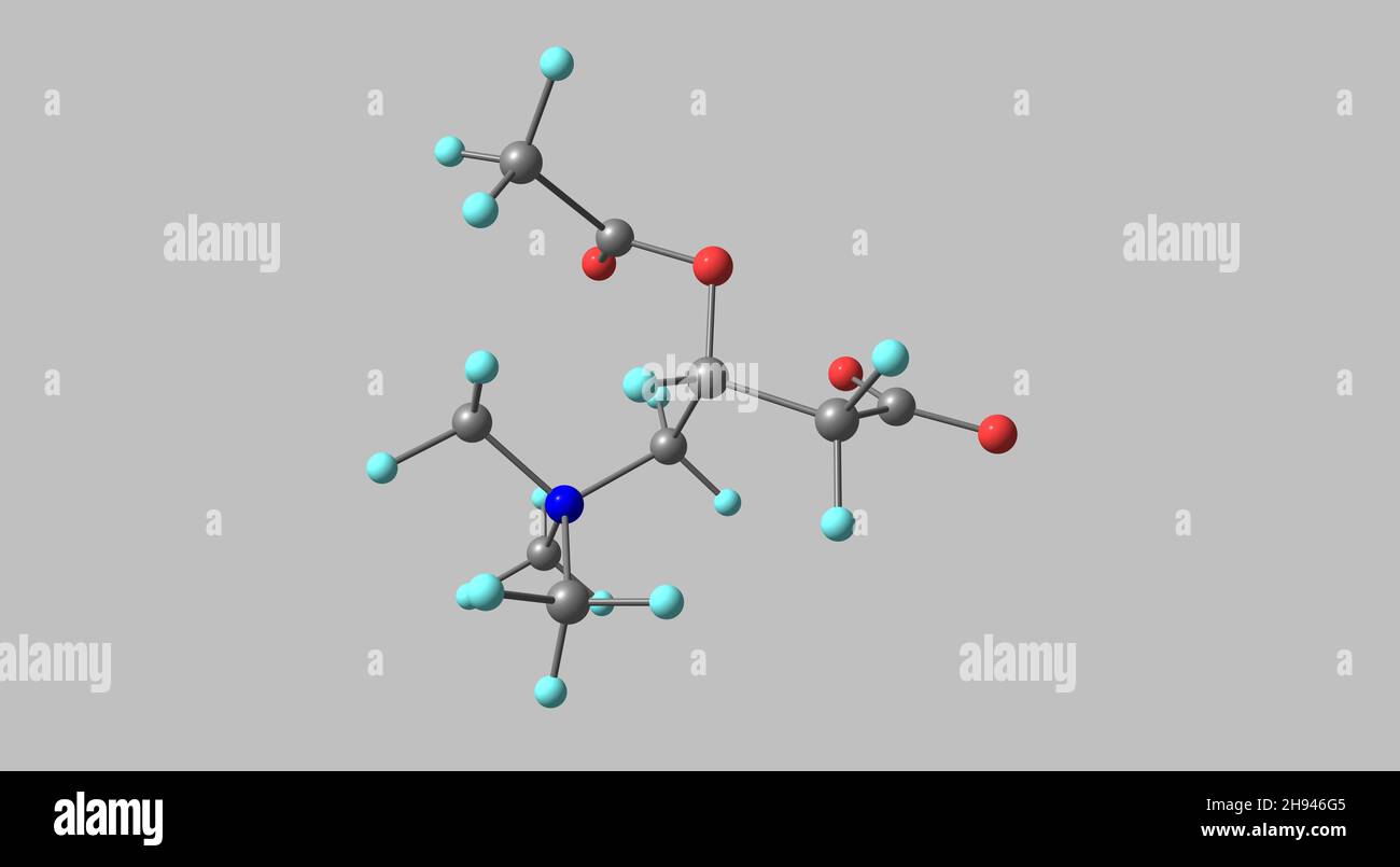 AcetylLcarnitine, ALCAR or ALC, is an acetylated form of Lcarnitine
