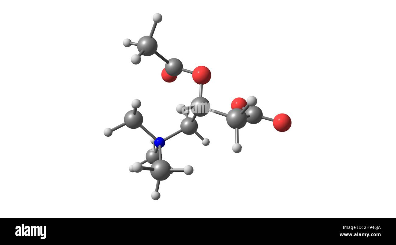 AcetylLcarnitine, ALCAR or ALC, is an acetylated form of Lcarnitine