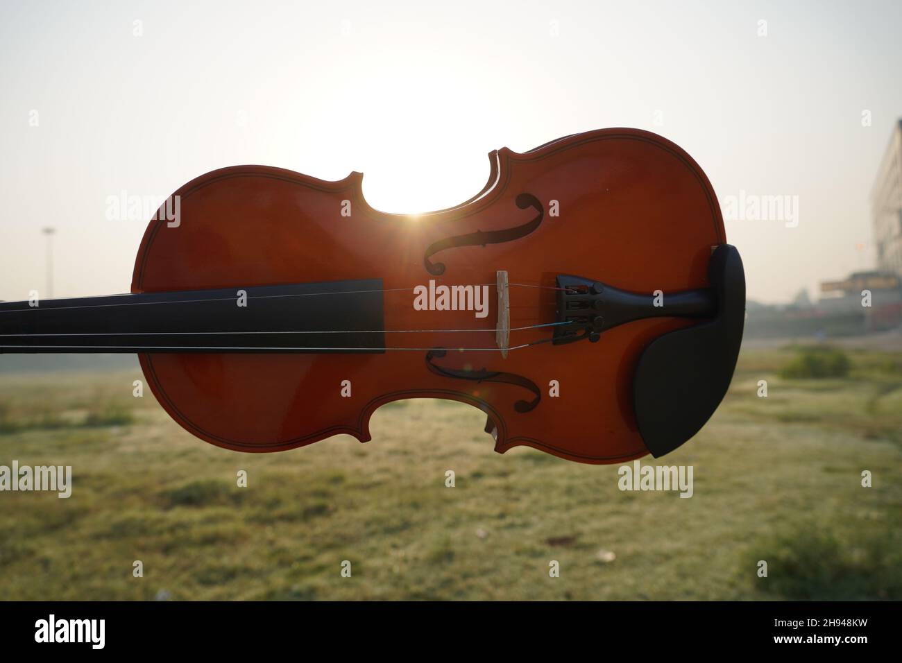 closeup of violin with sun light effect Stock Photo Alamy