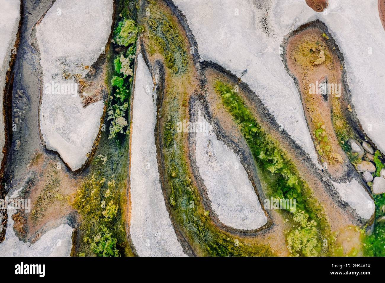 Algae grow on the bedrock of a dry river producing eutrophication Stock