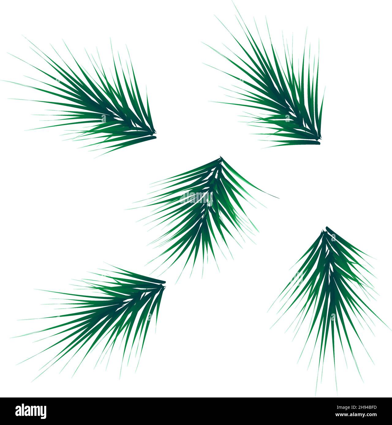 Collection Set of Realistic Fir Branches for Christmas Tree, Pine. Vector Stock Vector