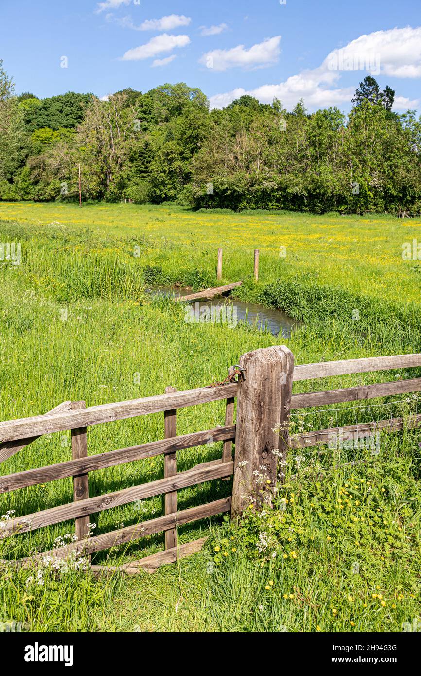 The infant River Coln in June near the Cotswold village of Yanworth, Gloucestershire UK Stock Photo
