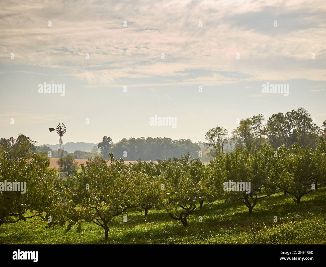 White Oak Orchard, a fruit farm in Amish Country, Lancaster County