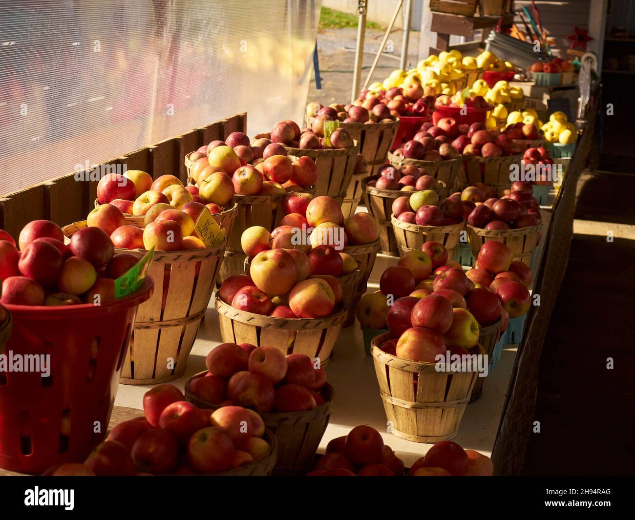 Apples for sale at a roadside market in Churchtown, Lancaster County, Pennsylvania, USA Stock Photo