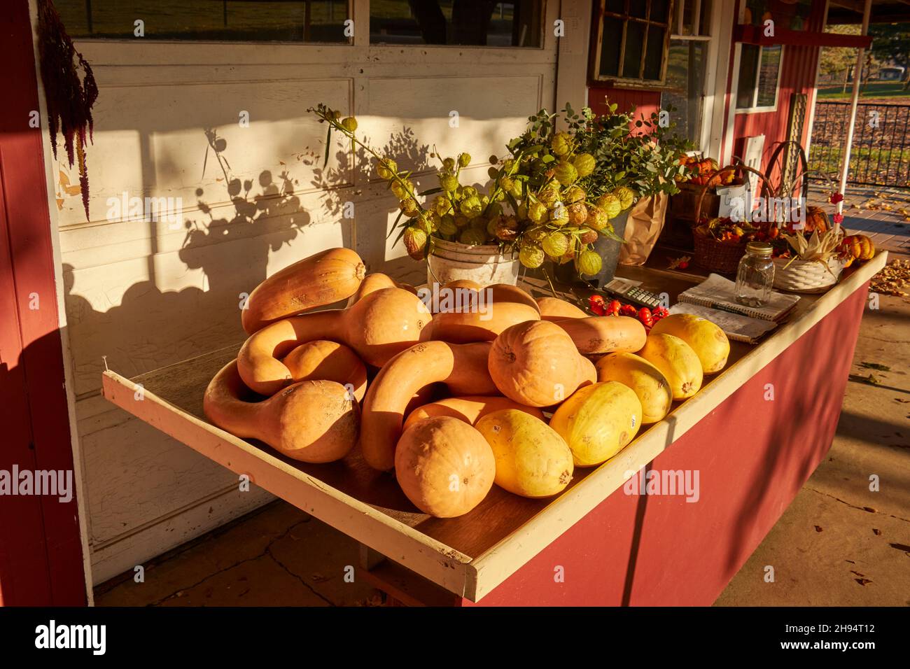 Winter squashes - sometimes called marrow - on display at a farmer's market in Bowmansville, Lancaster County, Pennsylvania, USA Stock Photo