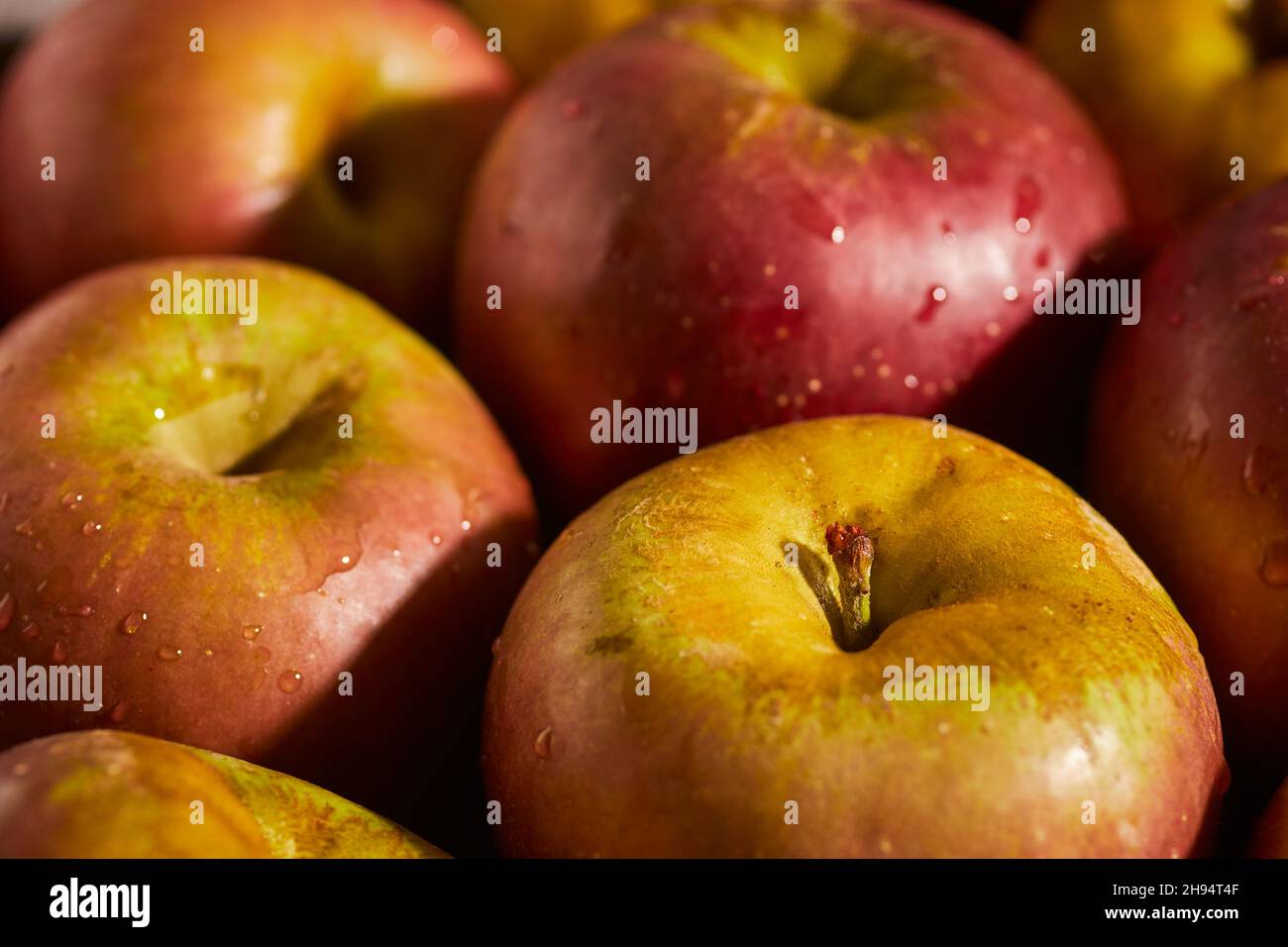 Heirloom apples at a Lancaster County farm market. Pennsylvania, USA Stock Photo