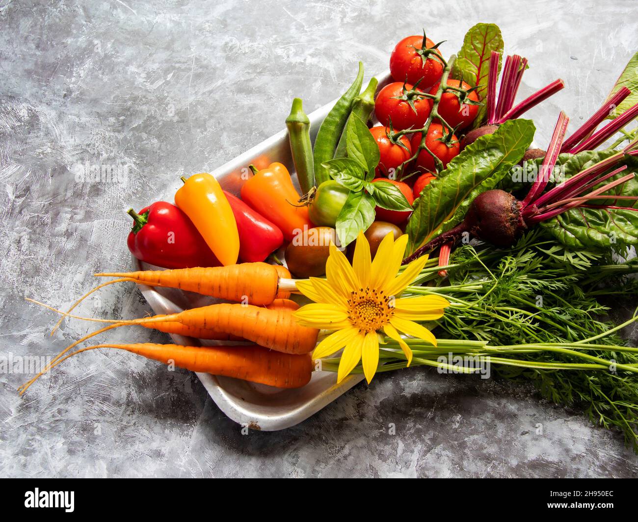 fresh raw vegetables cherry tomatoes, bell peppers, carrots, beets, okra sunflower. Top view Stock Photo