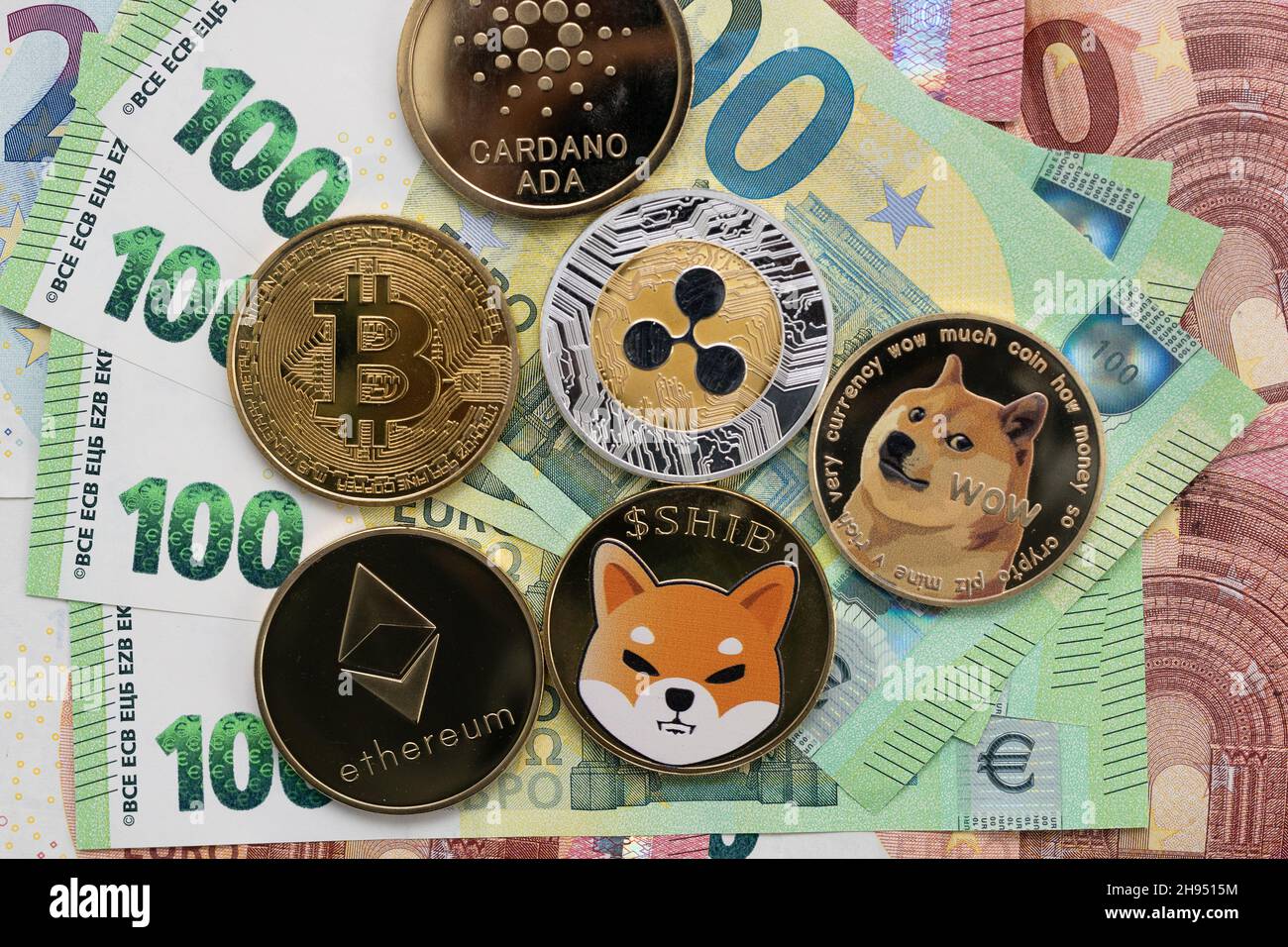 Shiba Inu physical coin laying on top of 100 Euro bills Stock Photo - Alamy