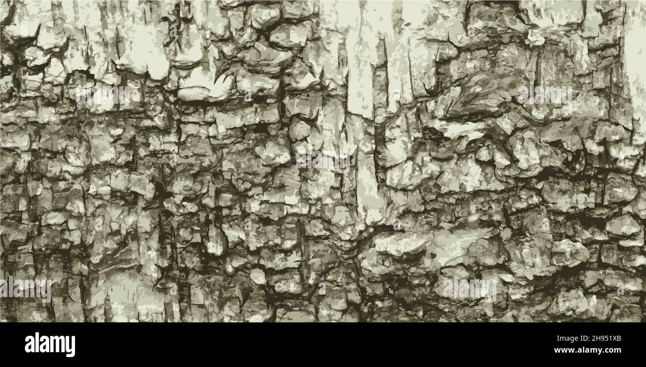 Graphic illustration of tree bark. Tree bark. Vector illustration eps
