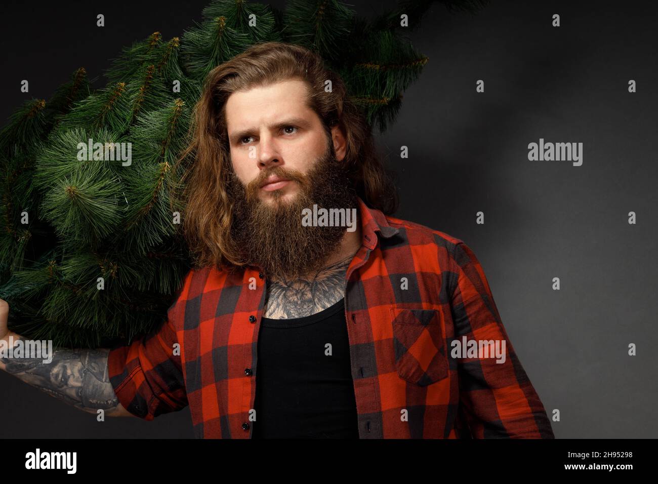 handsome man with long hair holding a synthetic christmas tree. Stock Photo