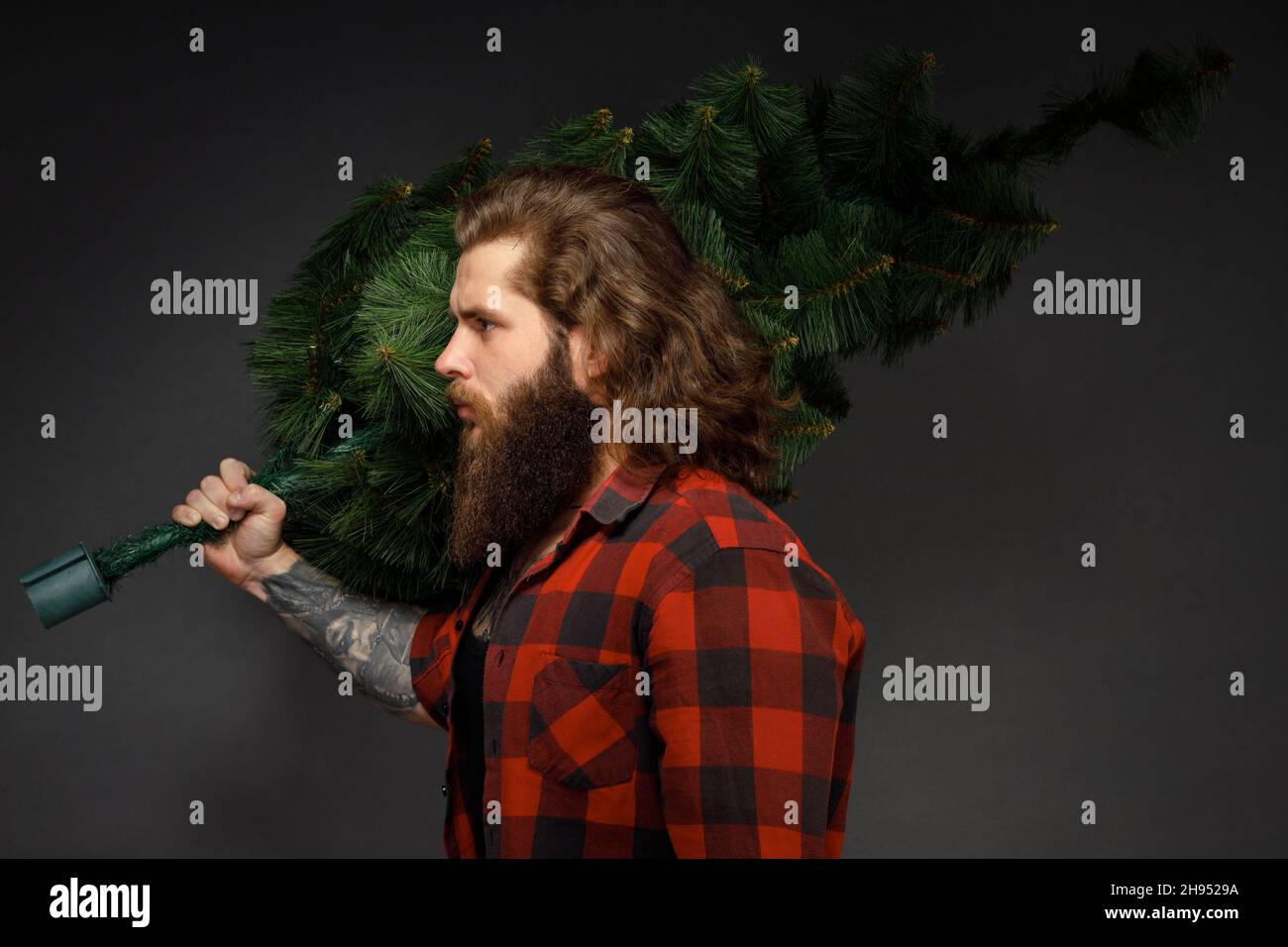 handsome man with long hair holding a synthetic christmas tree. Stock Photo