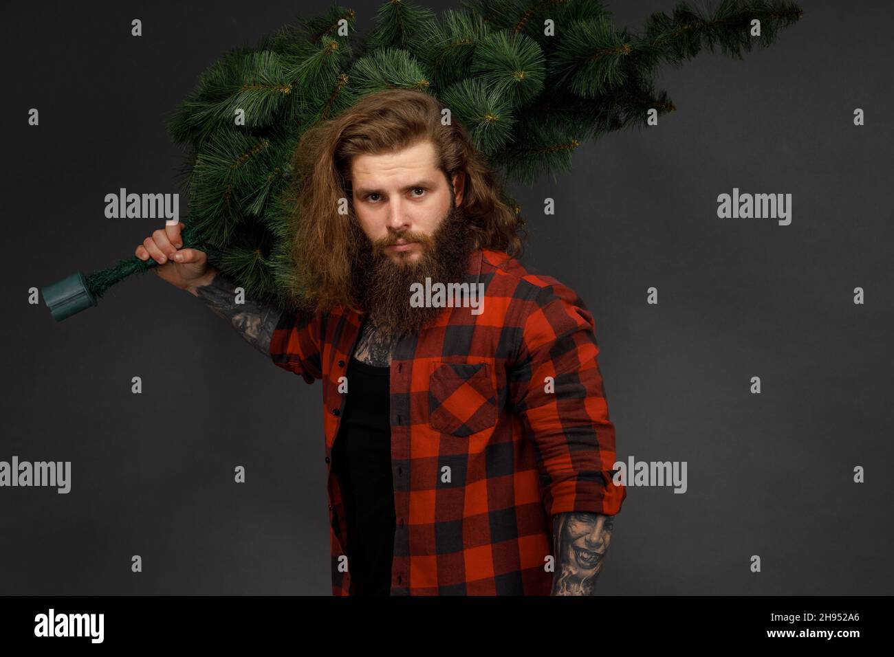 handsome man with long hair holding a synthetic christmas tree. Stock Photo
