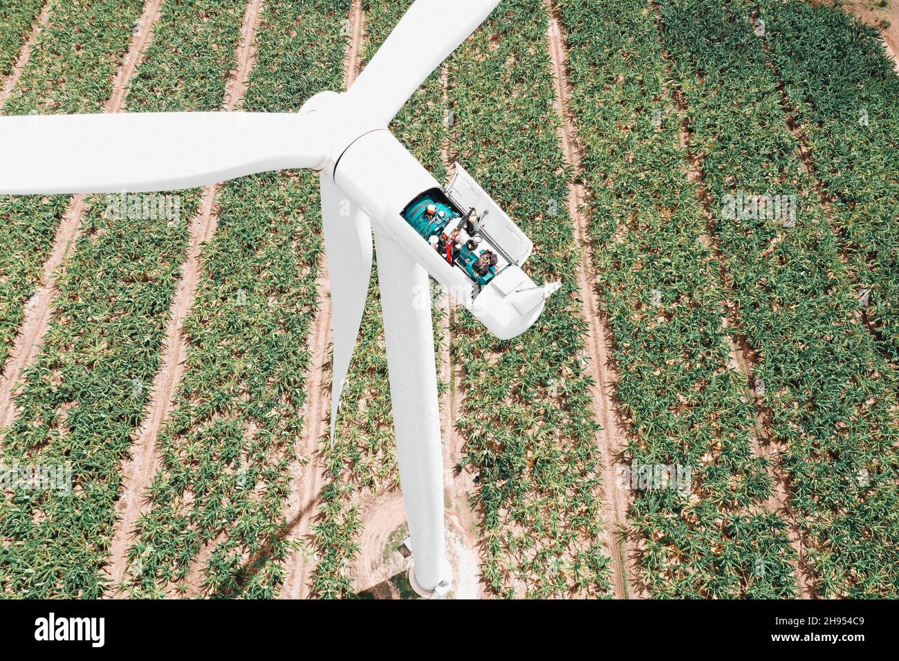 Aerial view of Wind Turbine in the windfarm of Santa Isabel, Puerto