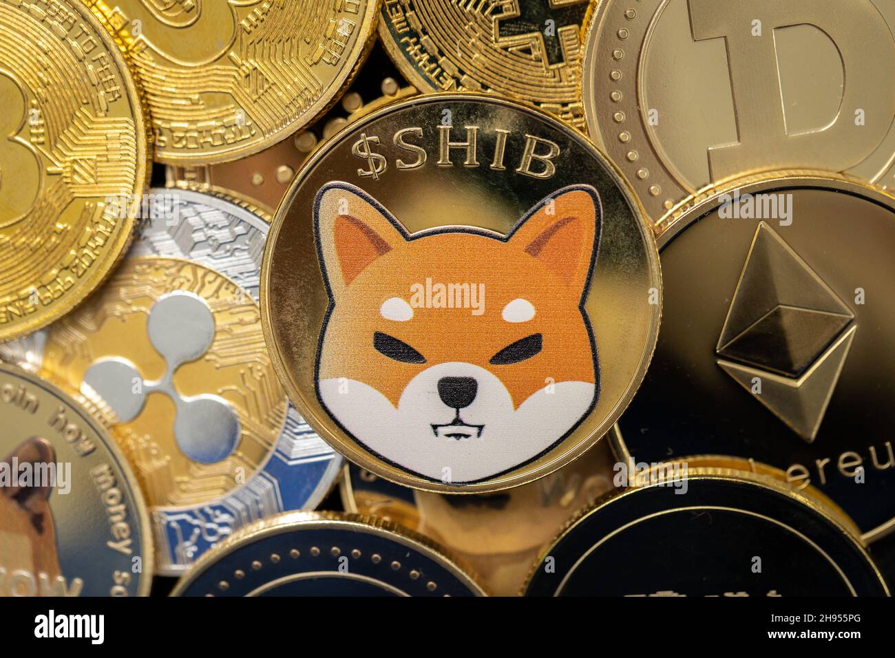 Shiba Inu cryptocurrency coin closeup, on top of other cryptocurrency