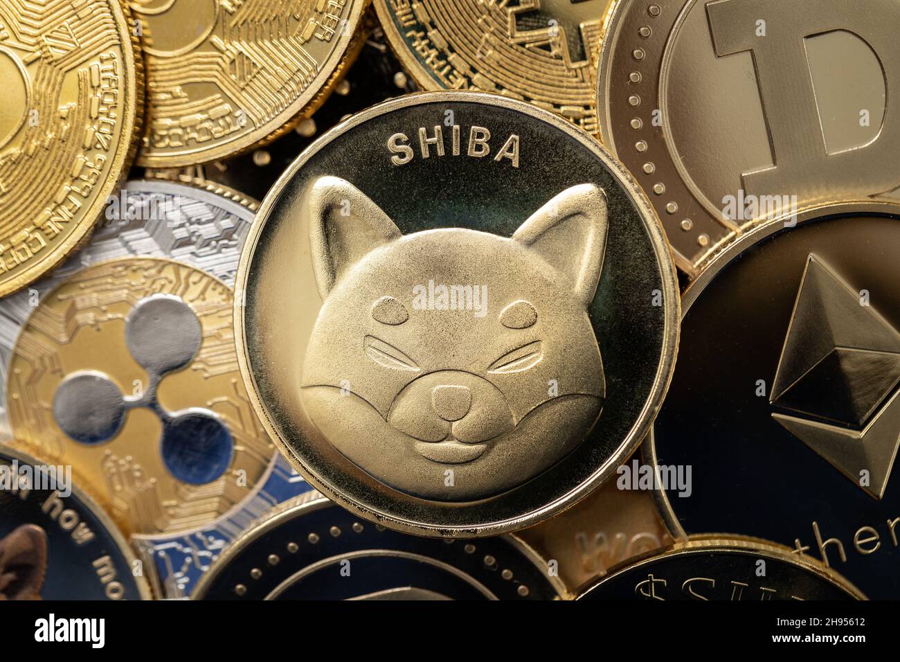 Shiba Inu cryptocurrency coin closeup, on top of other cryptocurrency