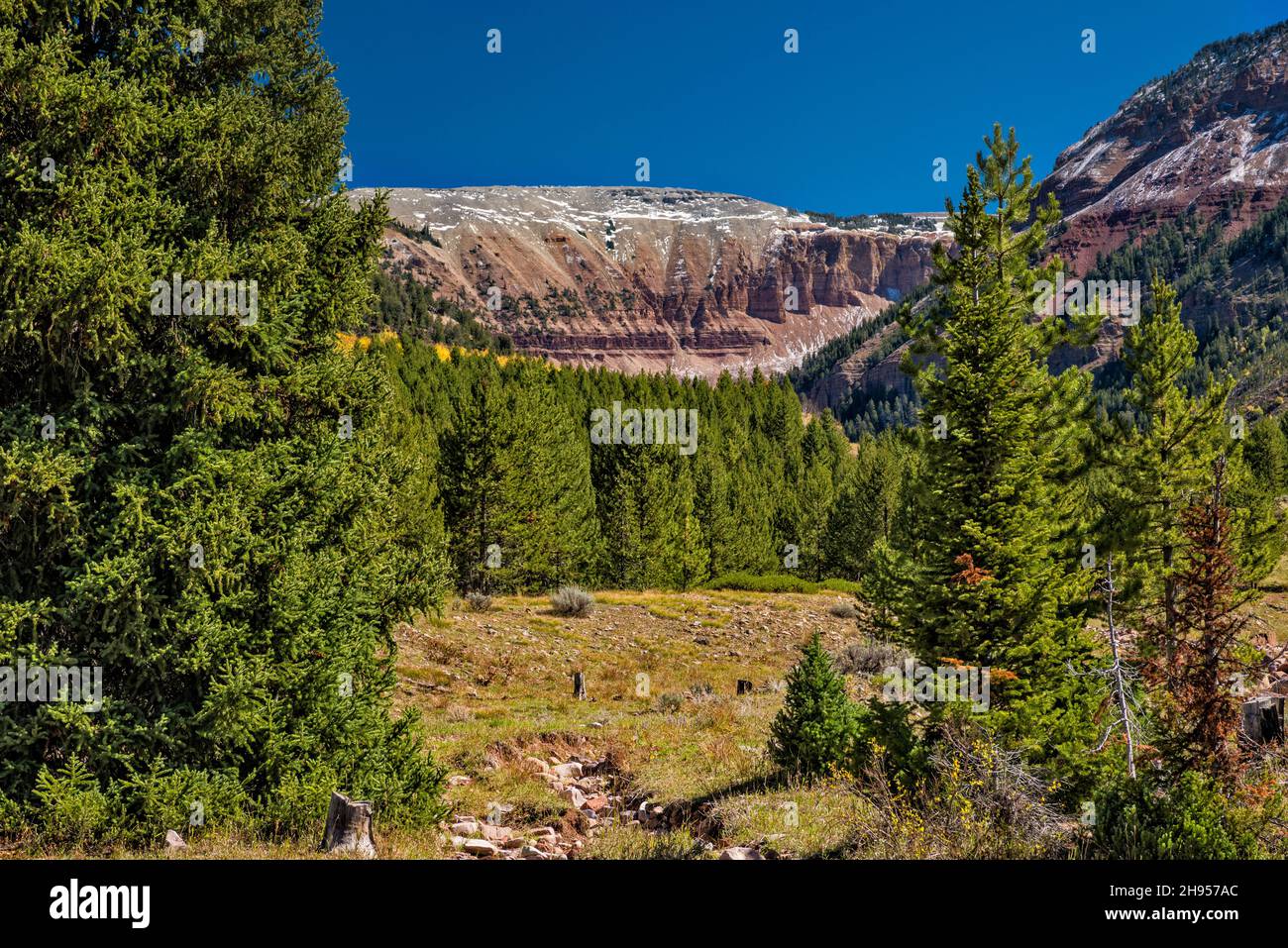 Box Canyon, Wyoming Range, near Greys River Road (FR 10138), Bridger Teton National Forest, Wyoming, USA Stock Photo