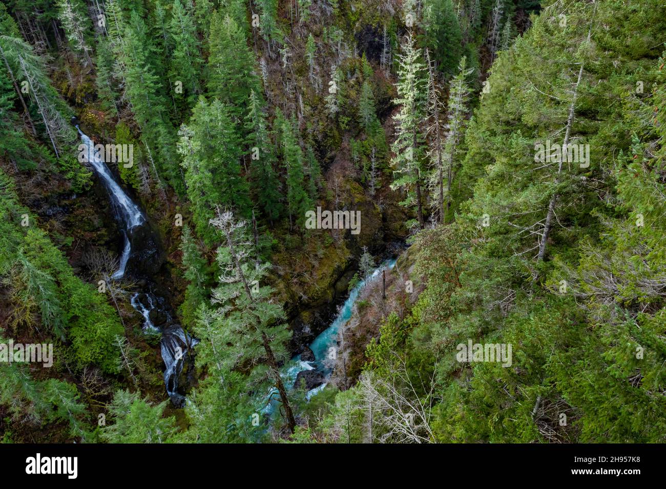 View down from High Steel Bridge over South Fork Skokomish River on