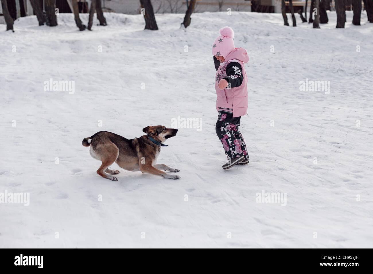 Child and dog on snowy road. Little girl plays with dog in forest after