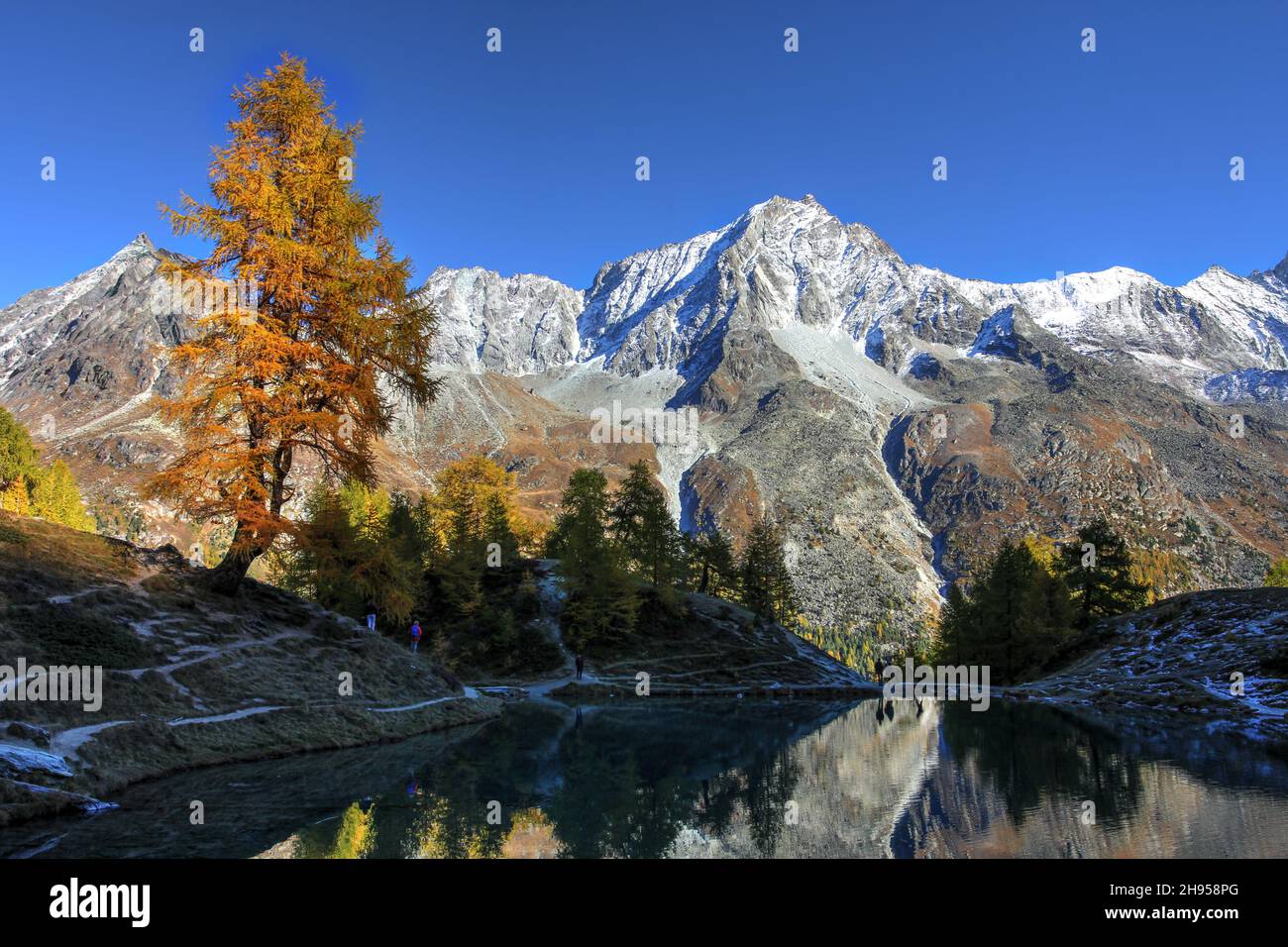 Autumn scene at Lac Bleu in Val d'Hérens, Canton de Valais, Switzerland. The setting sun lights the larch trees on fire, while Dent De Perroc (3'676m Stock Photo