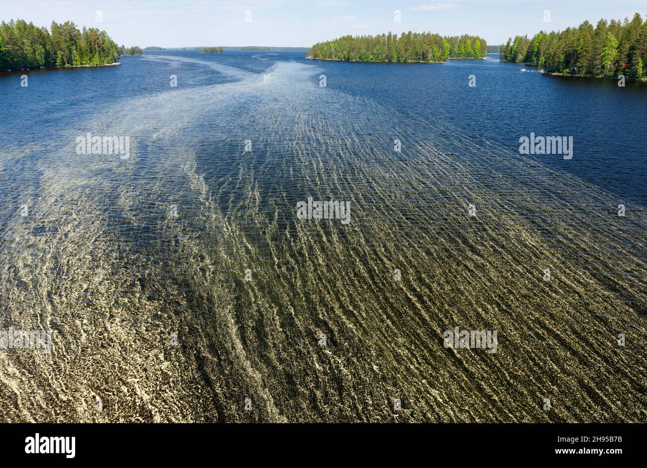 View of lake Pohjois-Konnevesi and a floating mass of pine pollen ( pinus sylvestris ) on the water surface at Summer , Finland Stock Photo