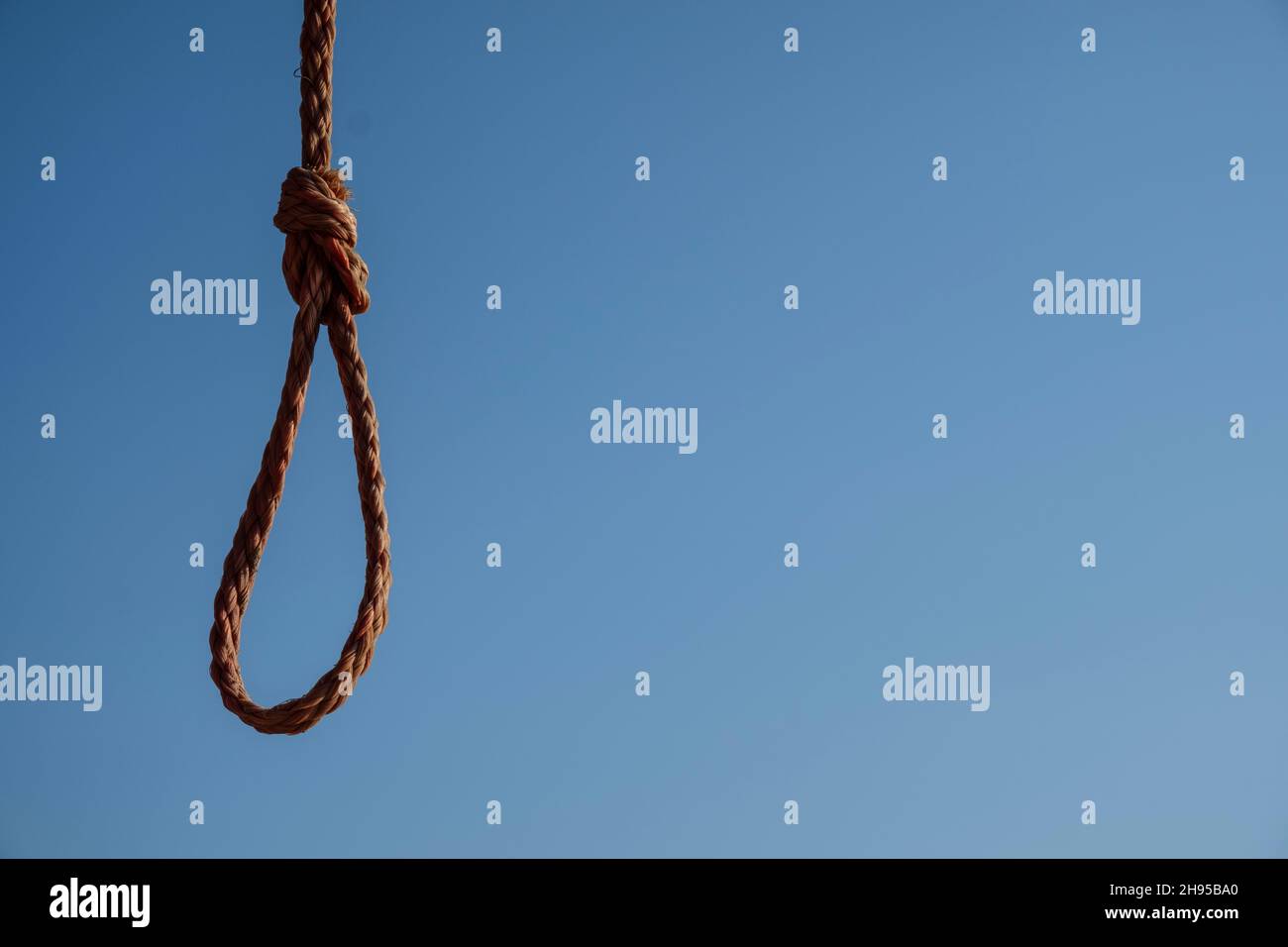 Rope noose on blue sky. Space for text Stock Photo