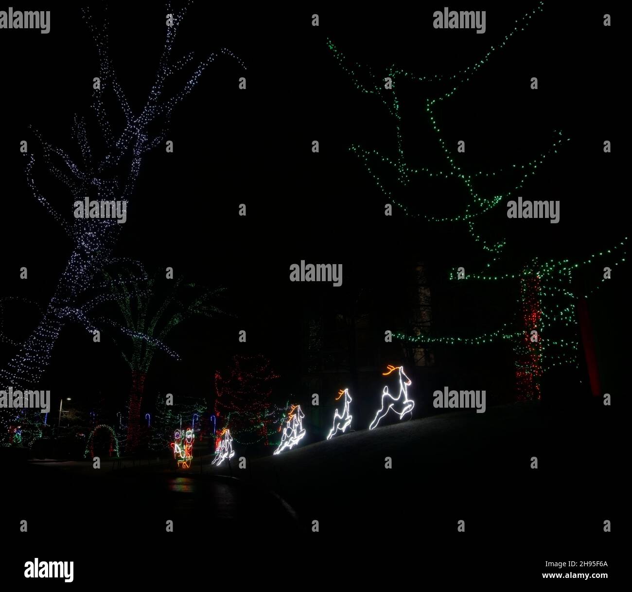 Zoolights Calgary Zoo Alberta Stock Photo Alamy